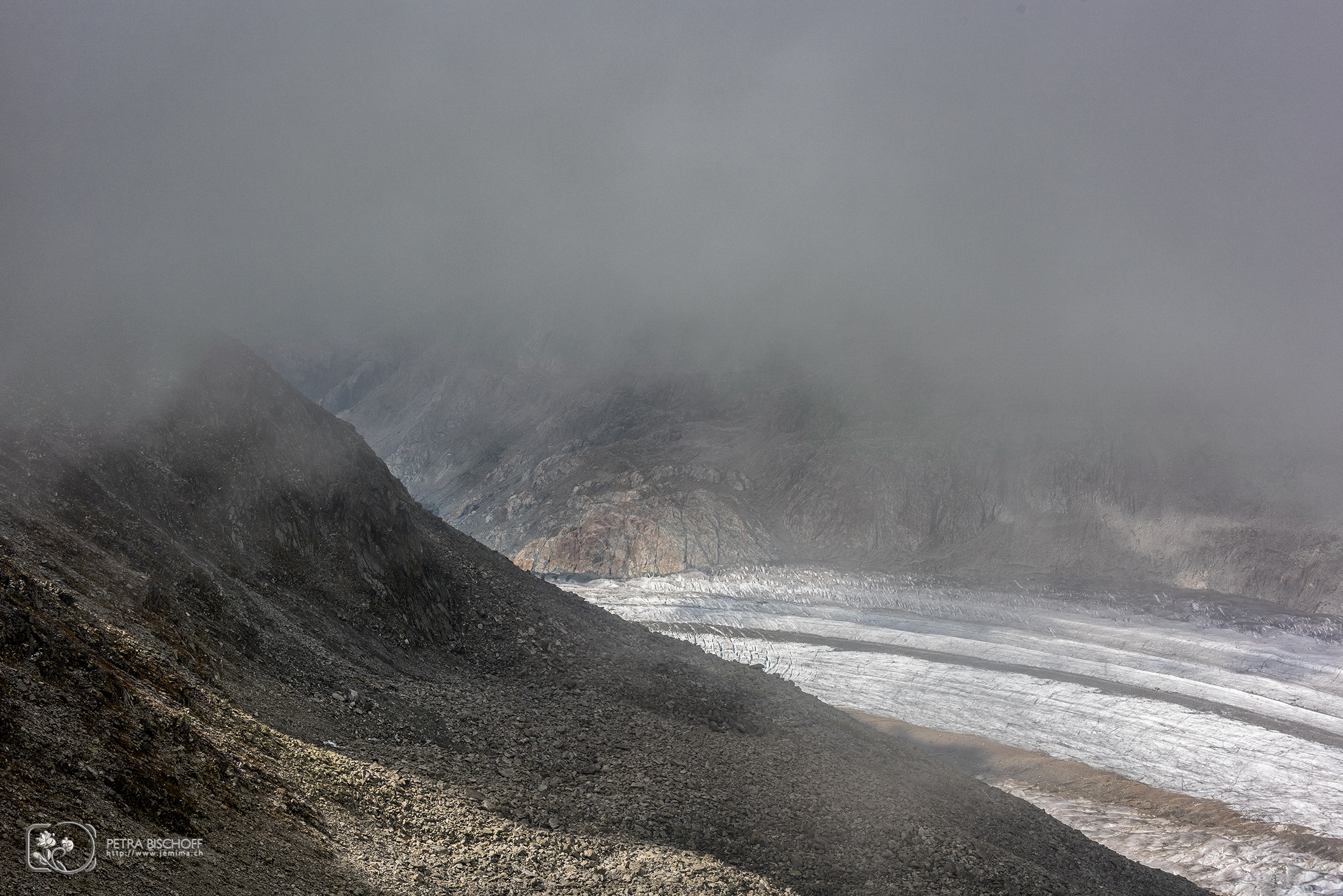 &copy; Petra Bischoff