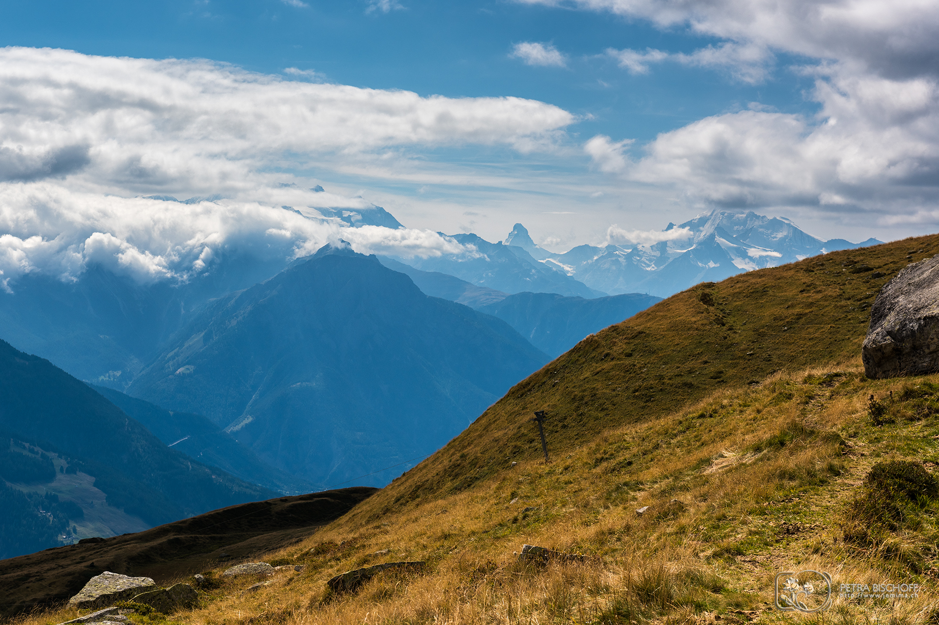 &copy; Petra Bischoff