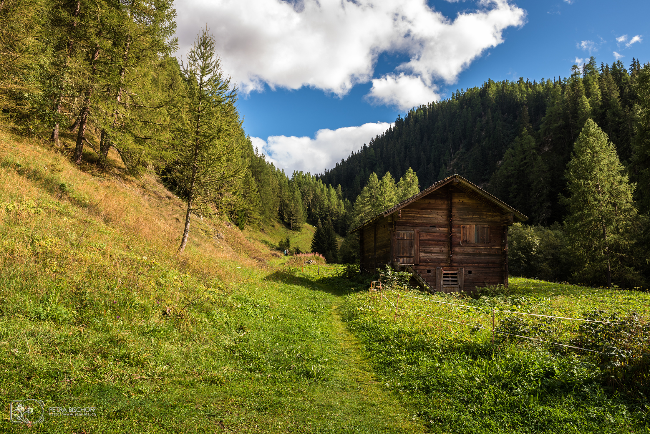 &copy; Petra Bischoff