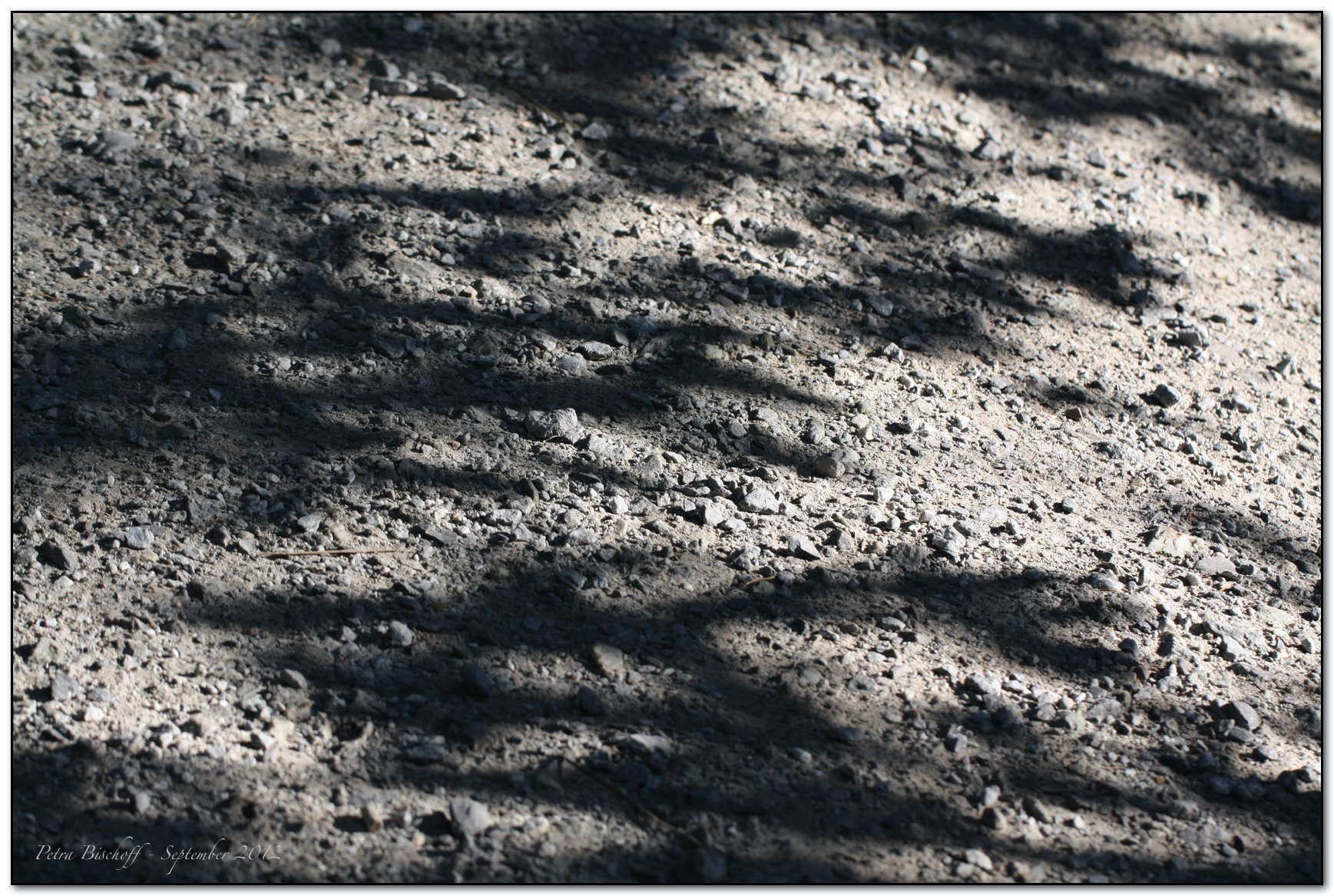 &copy; Petra Bischoff