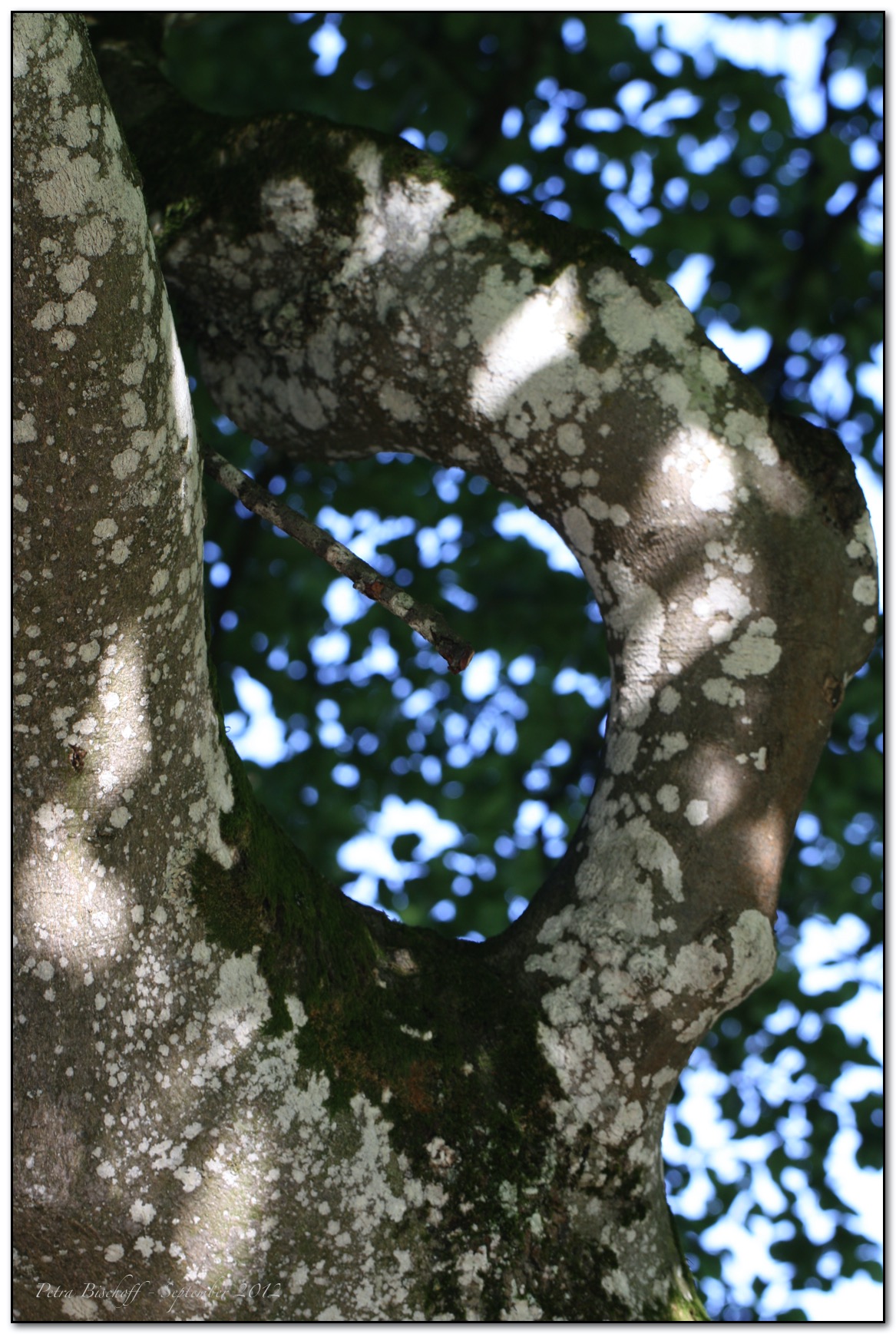 &copy; Petra Bischoff