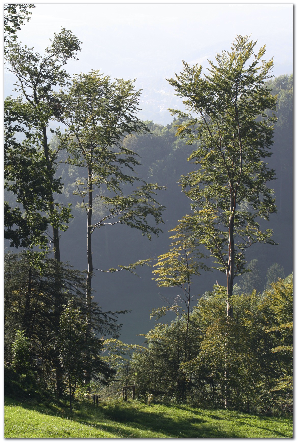 &copy; Petra Bischoff