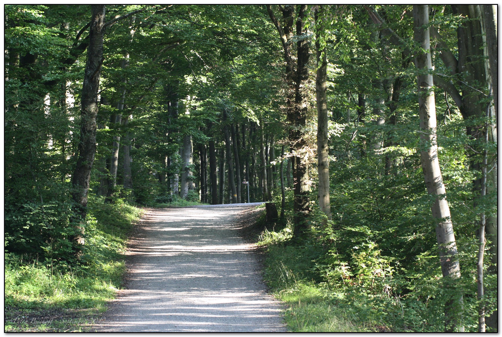 &copy; Petra Bischoff