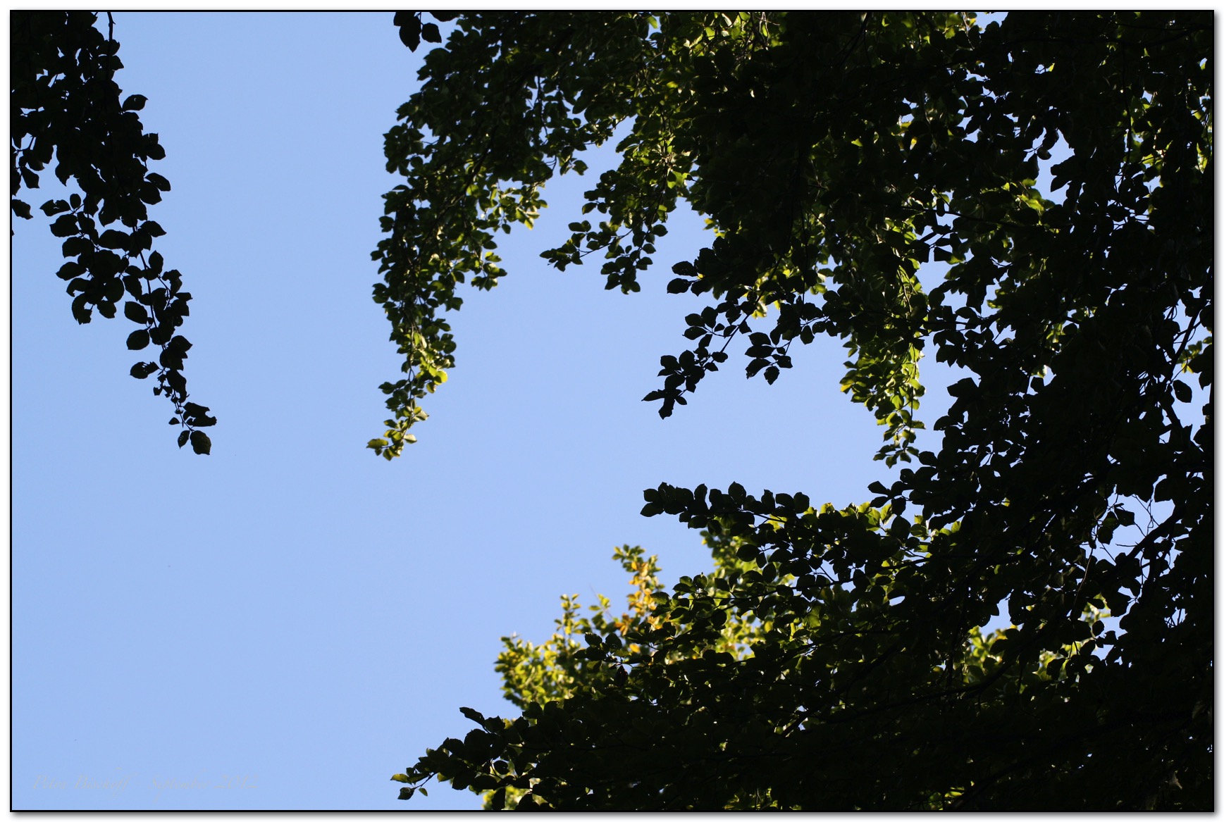 &copy; Petra Bischoff