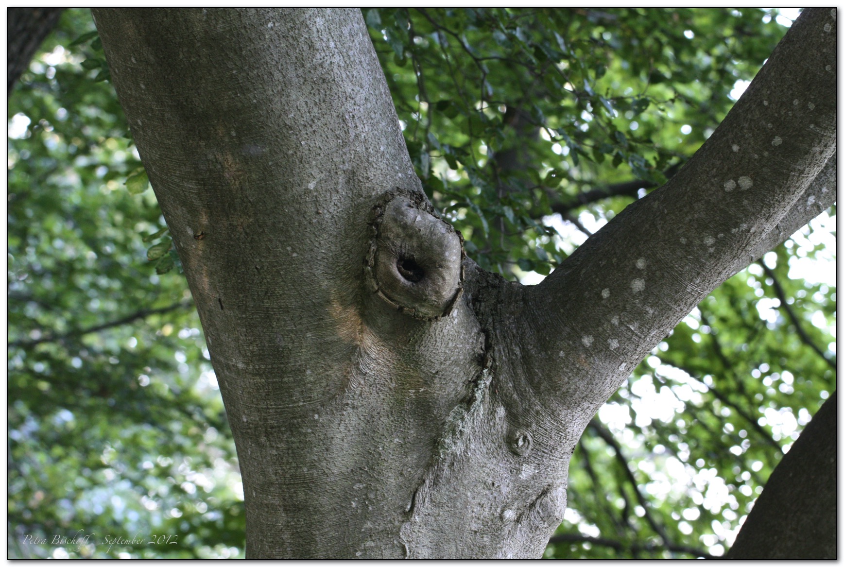 &copy; Petra Bischoff