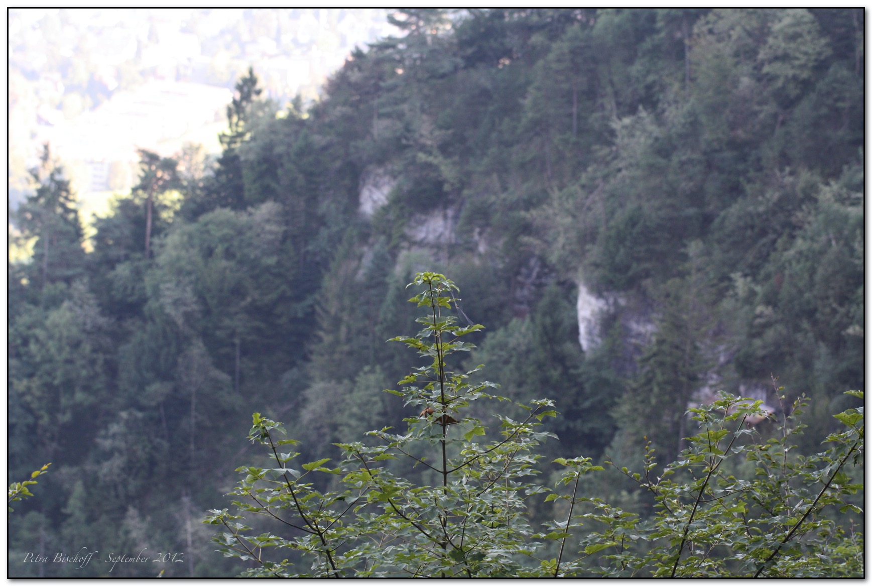 &copy; Petra Bischoff