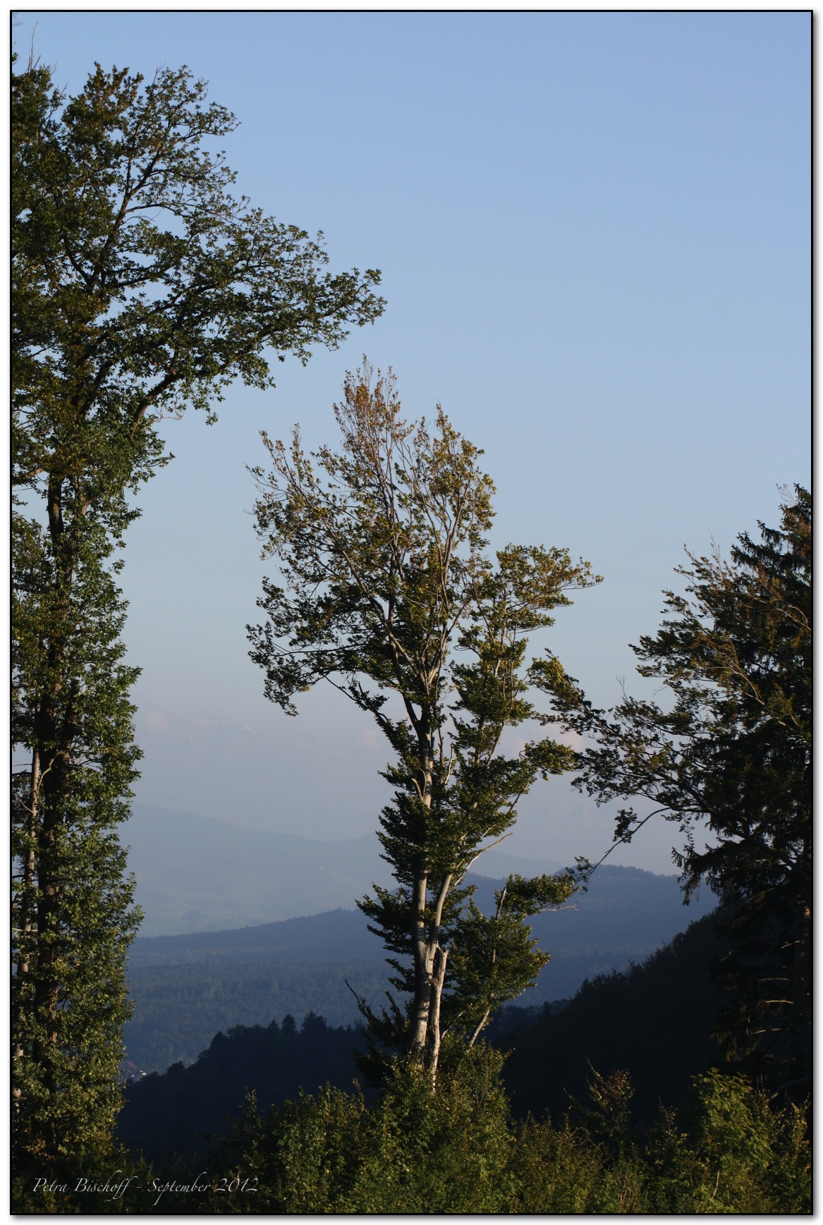 &copy; Petra Bischoff