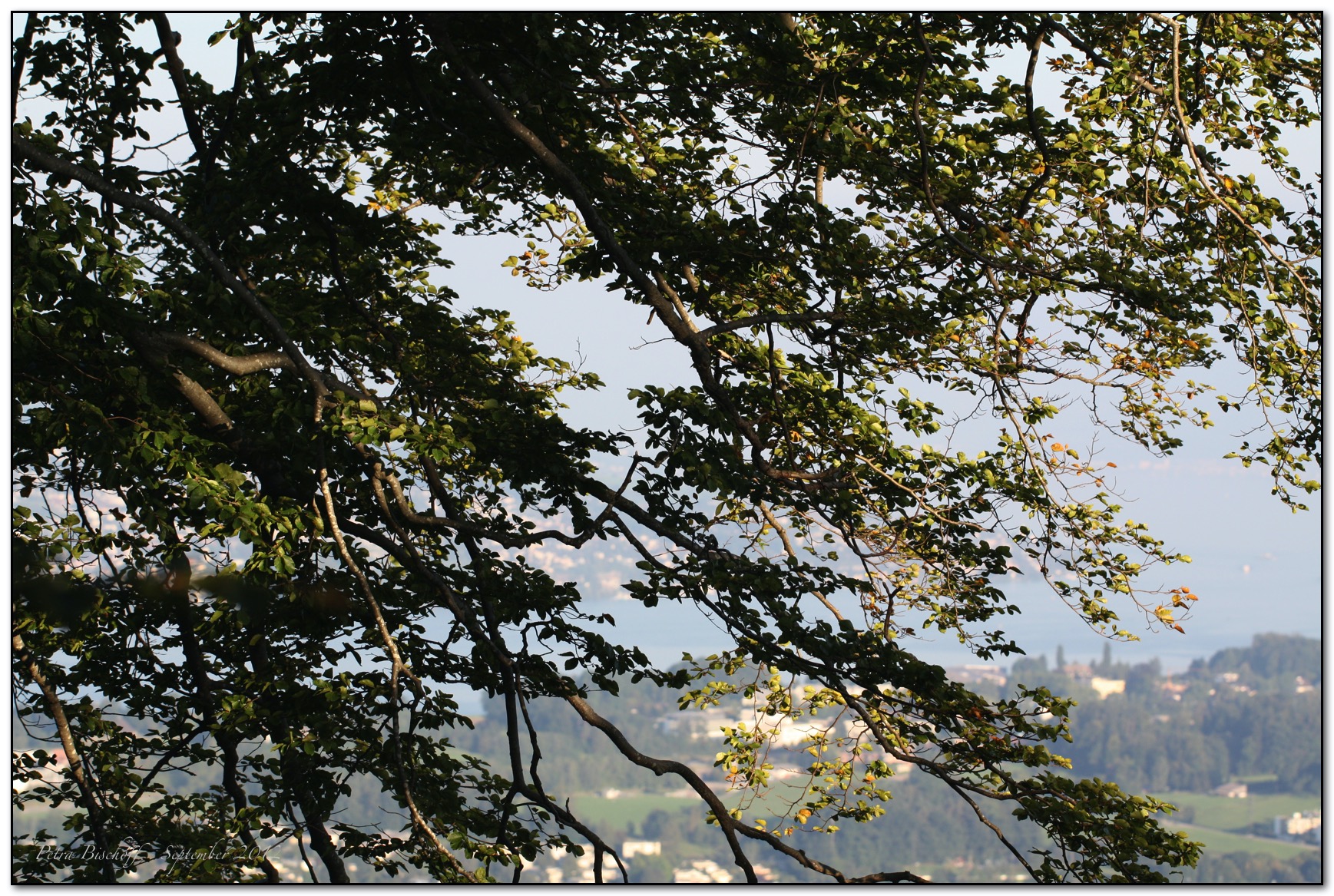 &copy; Petra Bischoff