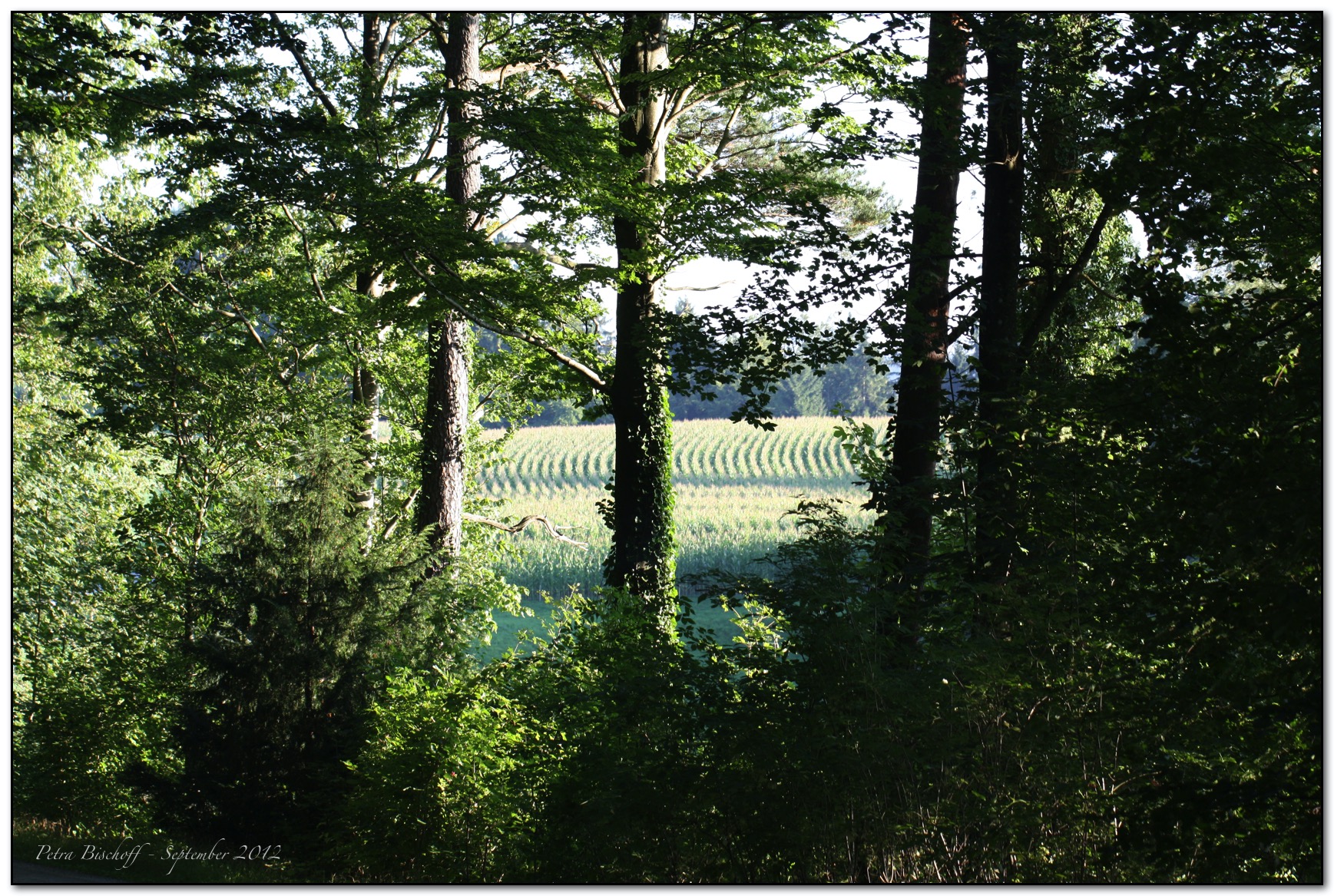 &copy; Petra Bischoff