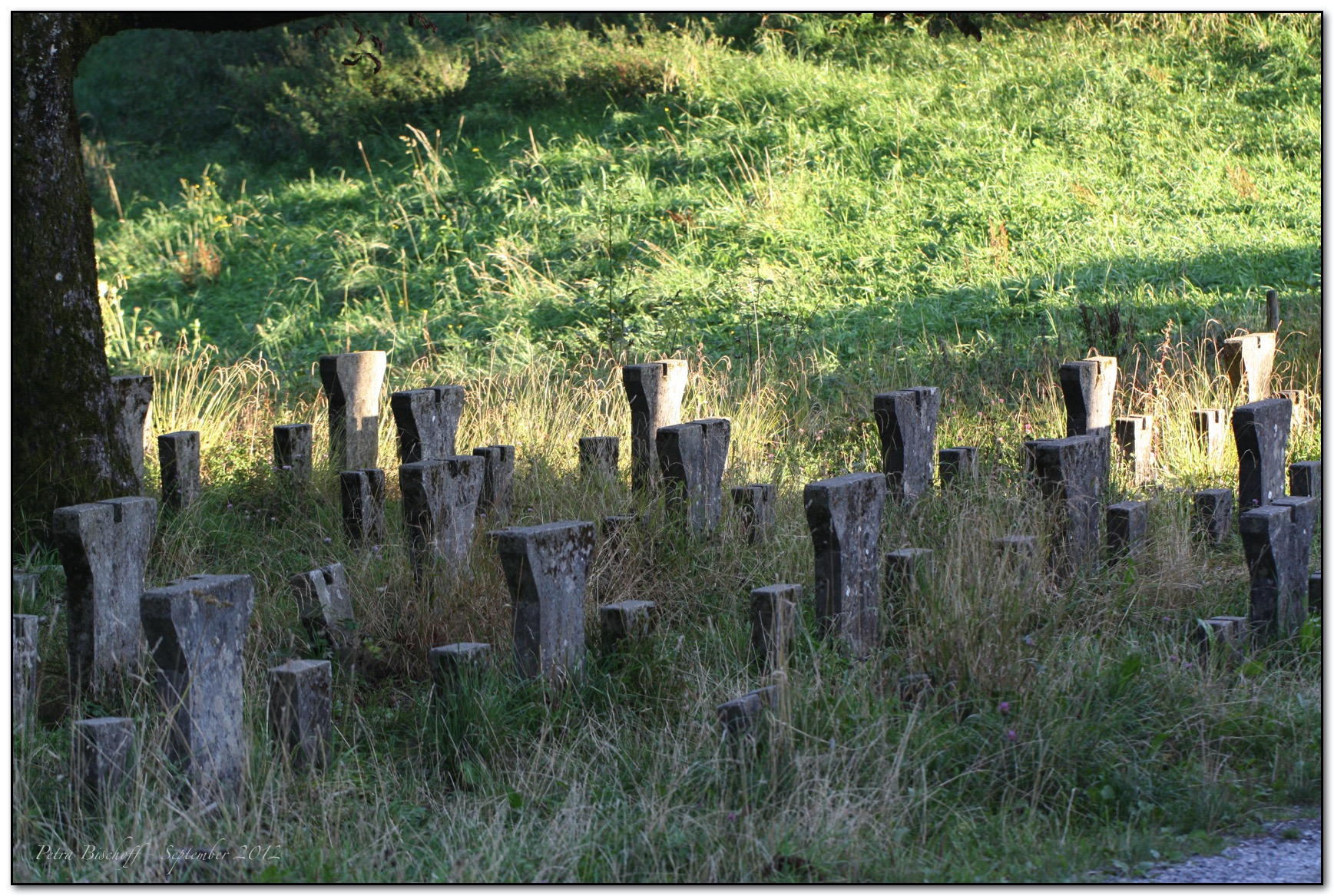 &copy; Petra Bischoff