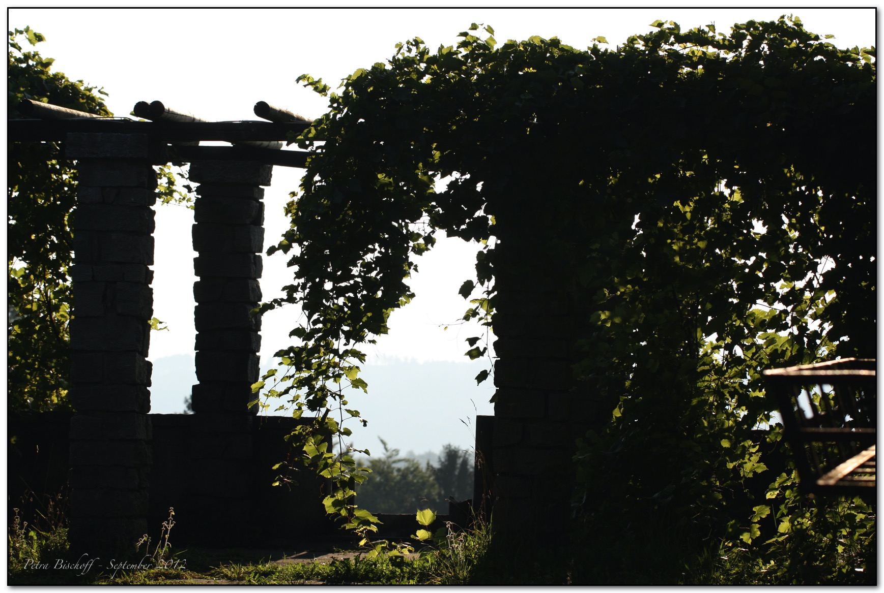 &copy; Petra Bischoff