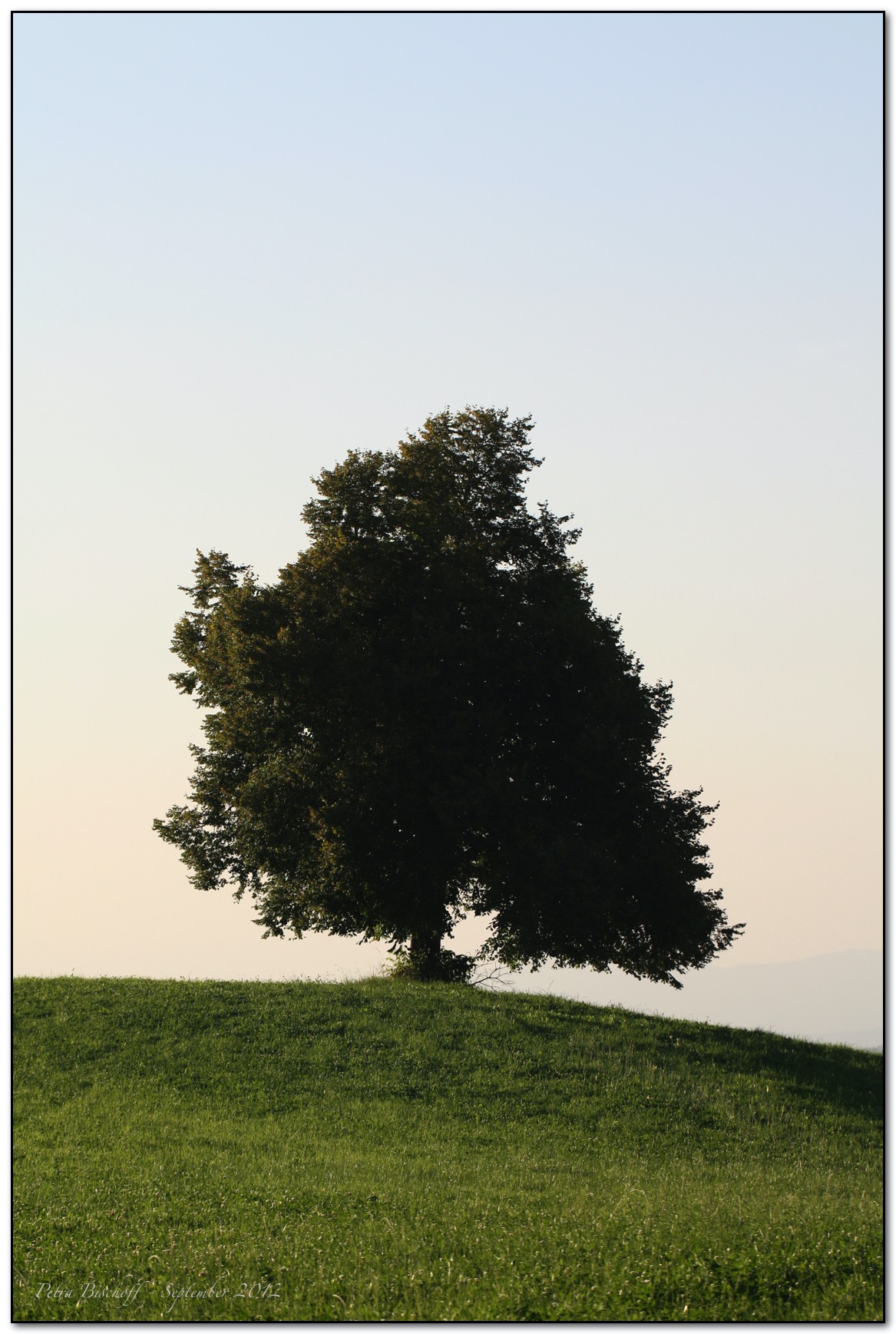 &copy; Petra Bischoff