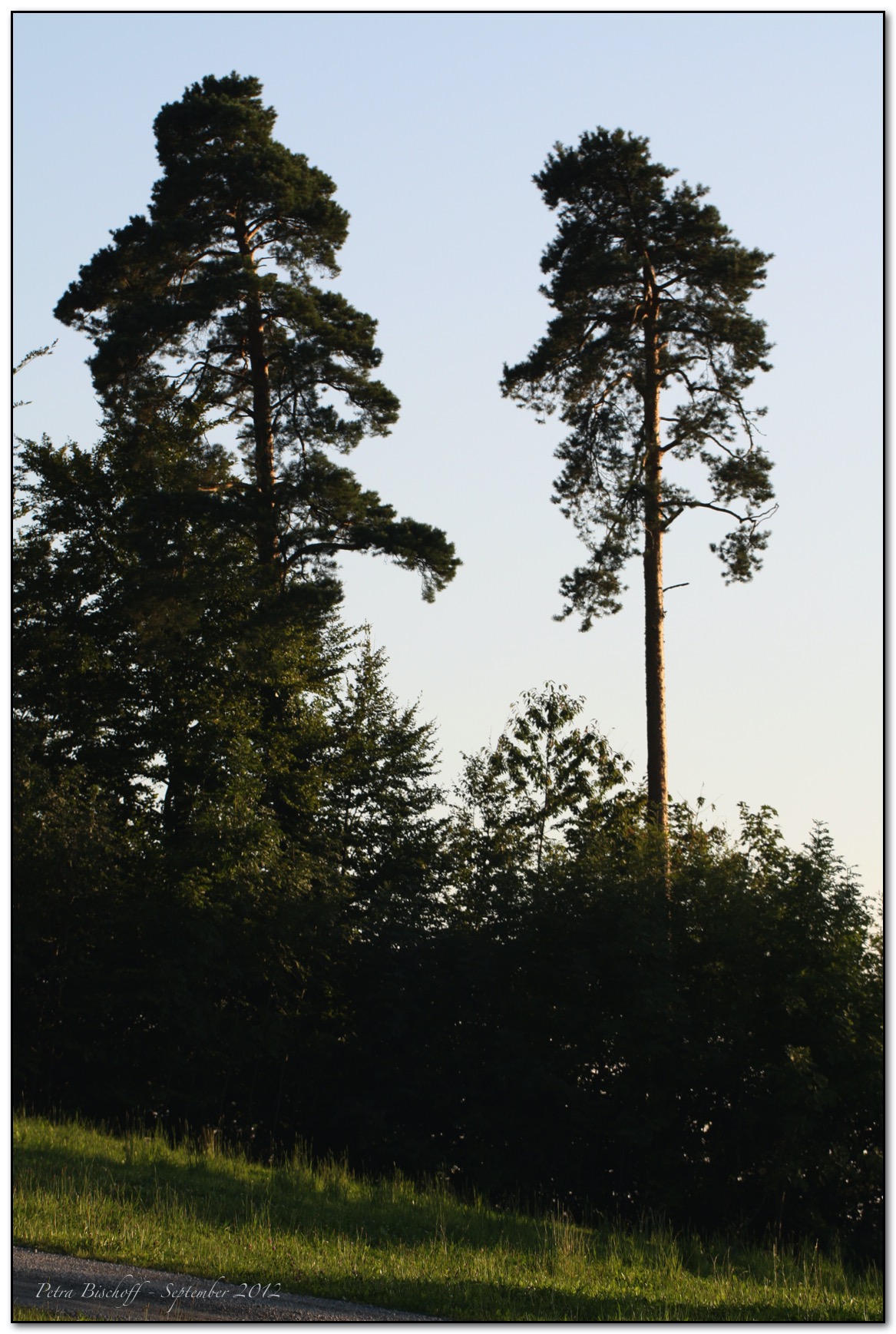 &copy; Petra Bischoff