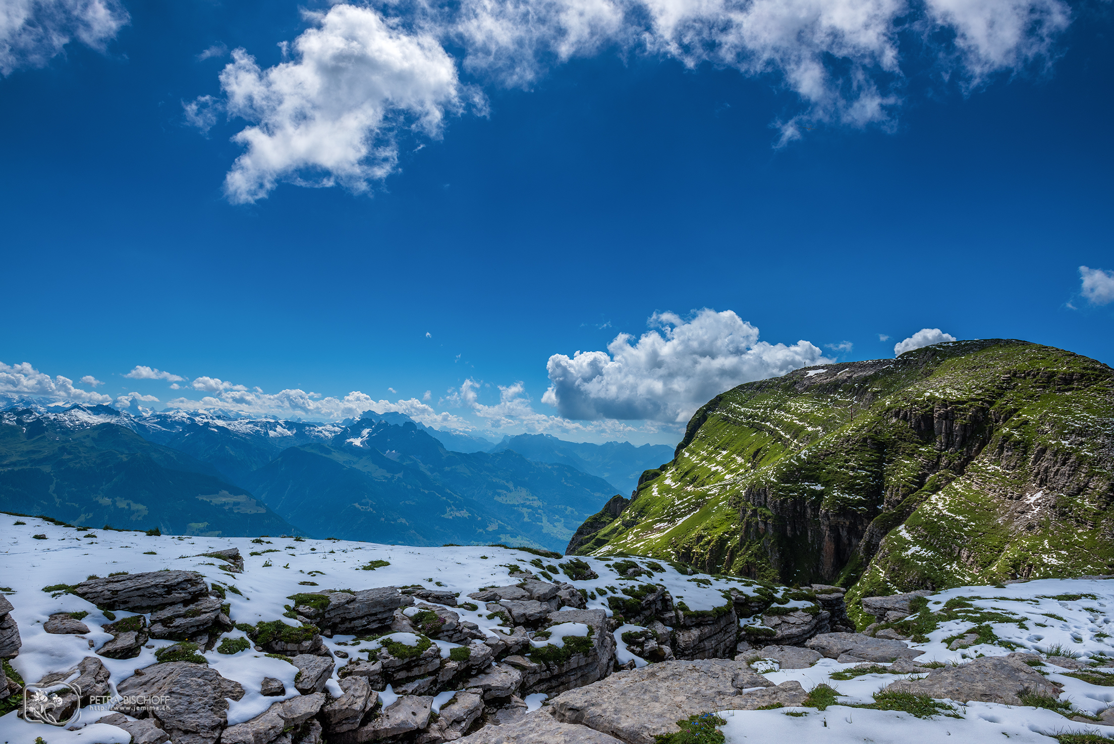 &copy; Petra Bischoff