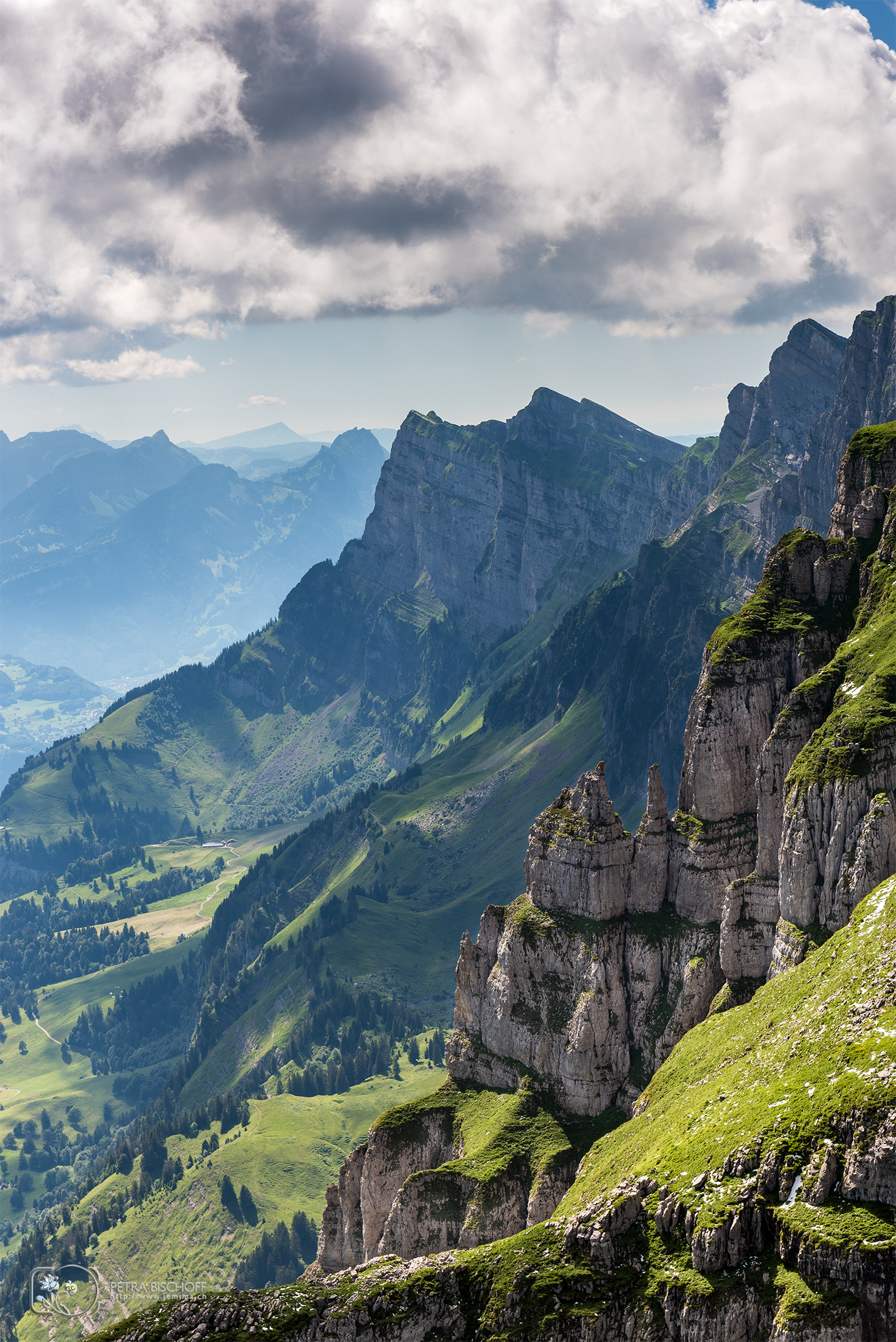 &copy; Petra Bischoff