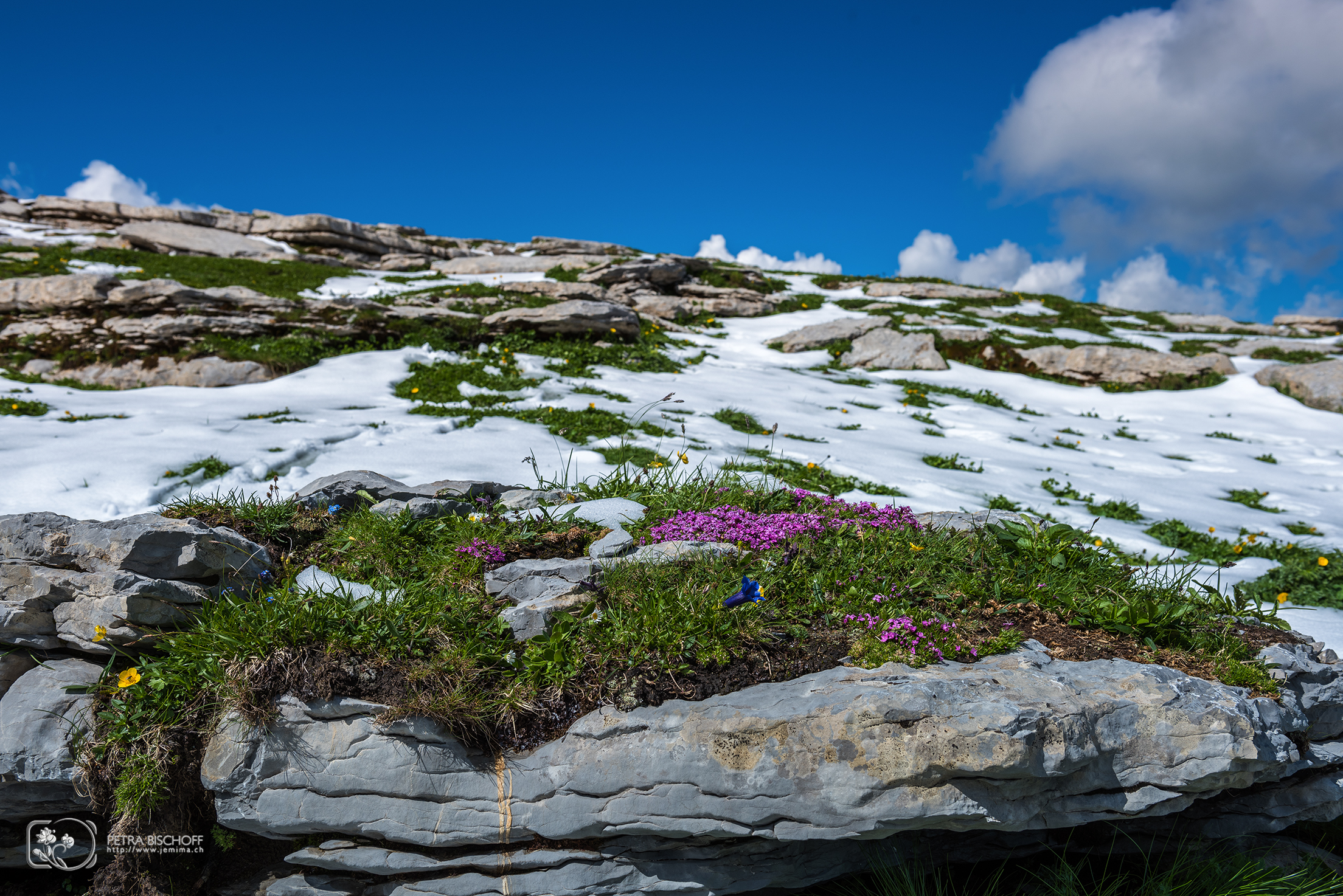 &copy; Petra Bischoff