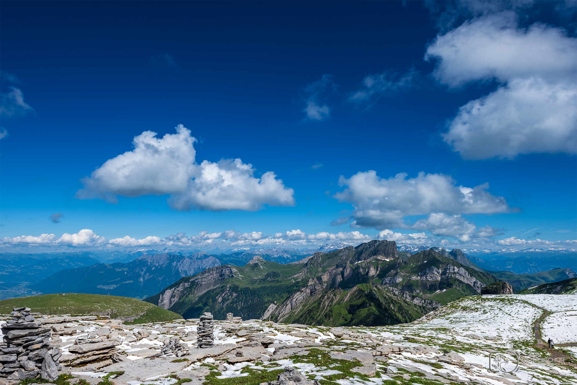 &copy; Petra Bischoff