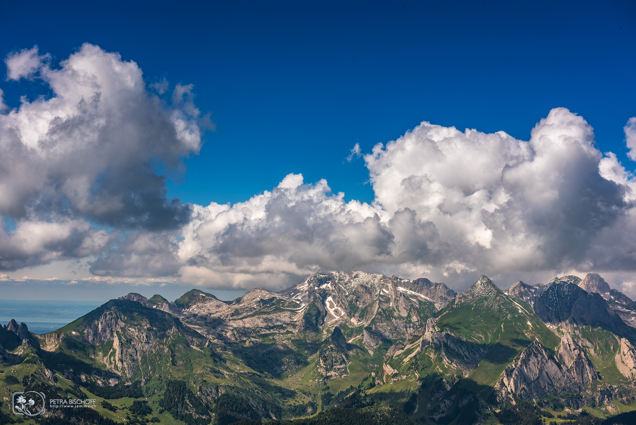 &copy; Petra Bischoff