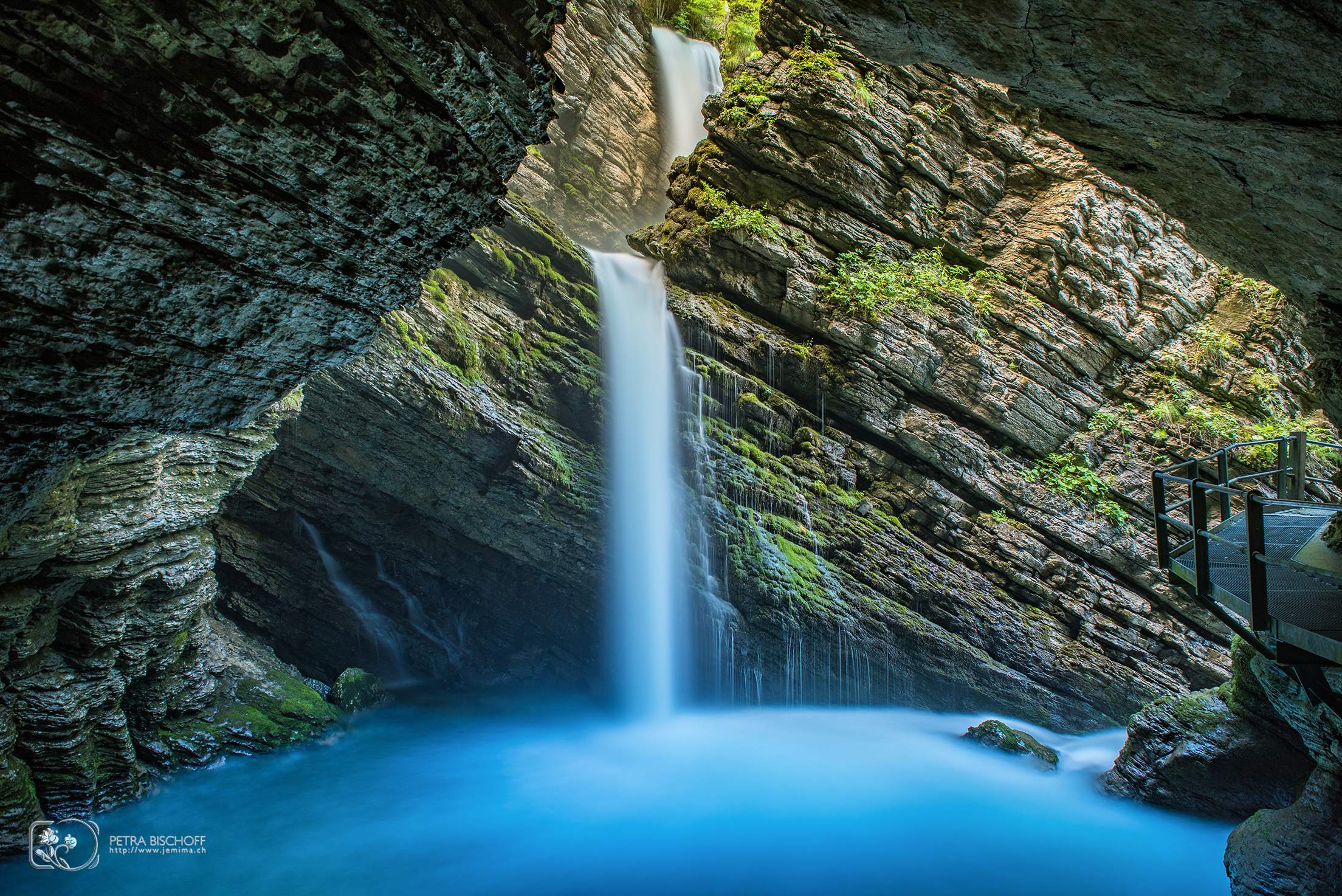 &copy; Petra Bischoff