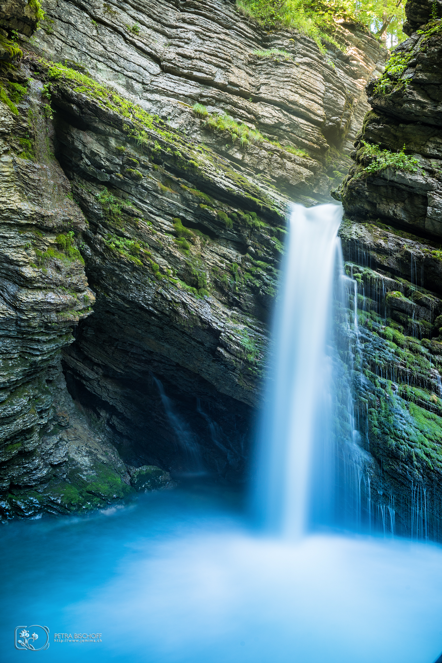 &copy; Petra Bischoff