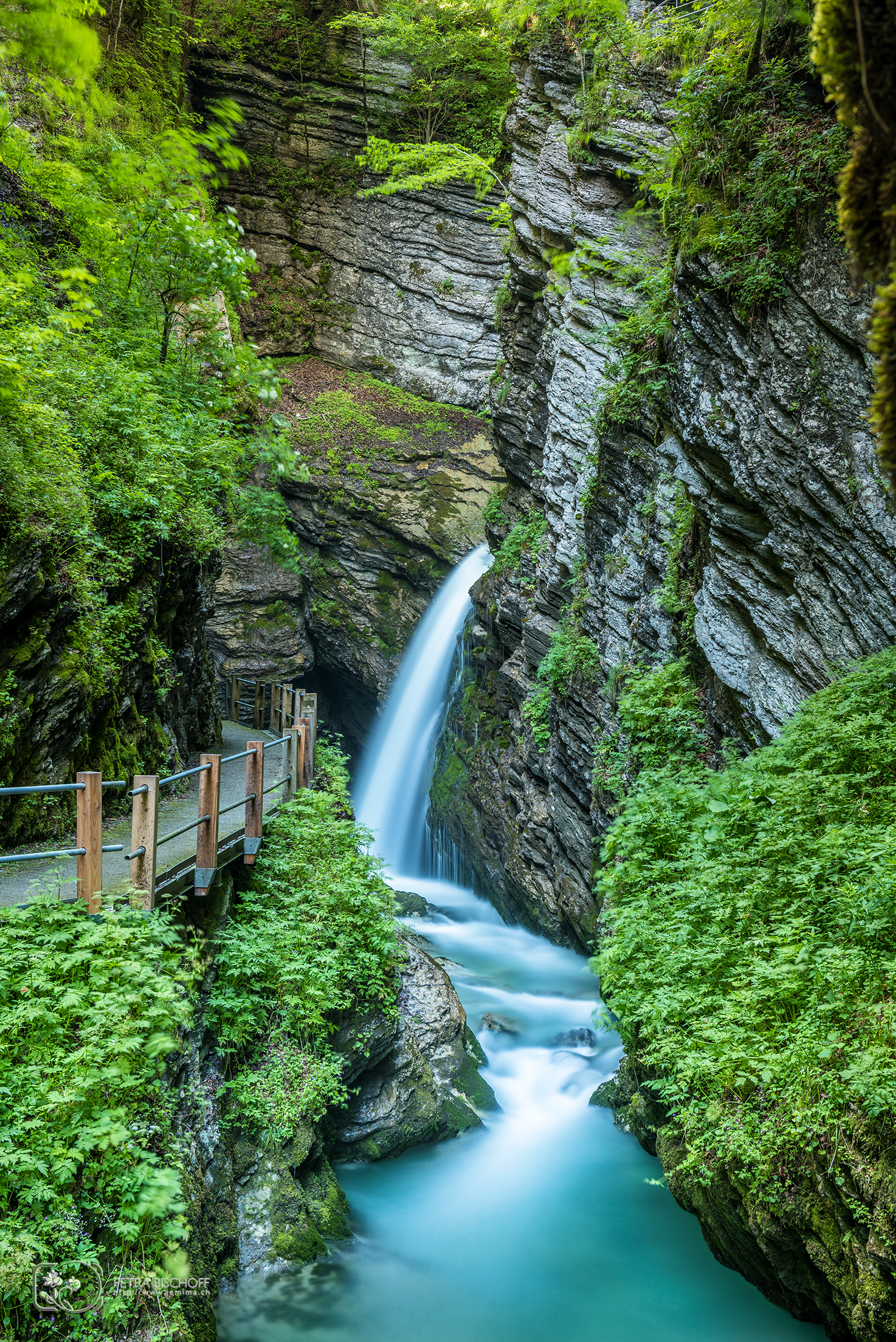 &copy; Petra Bischoff