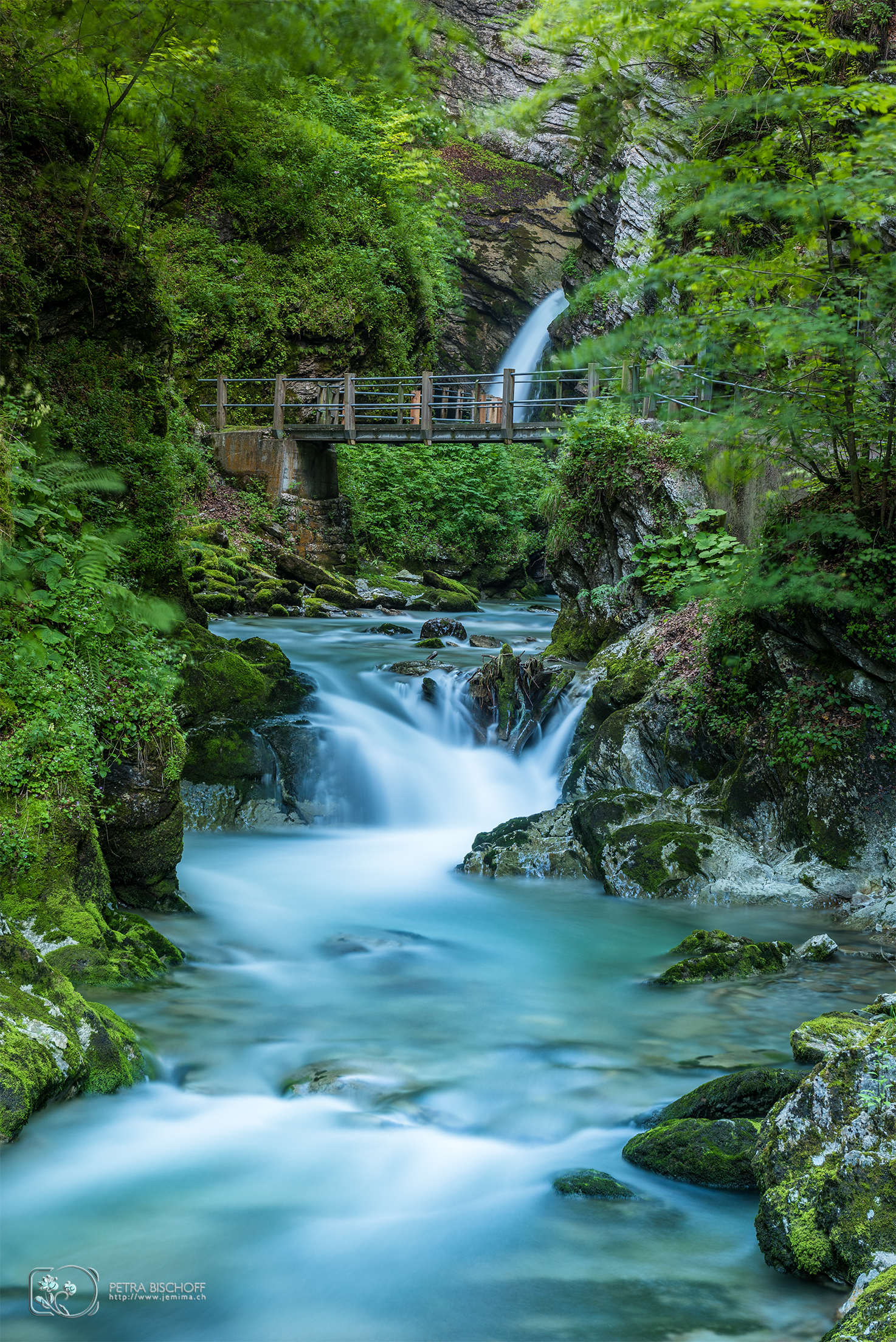 &copy; Petra Bischoff