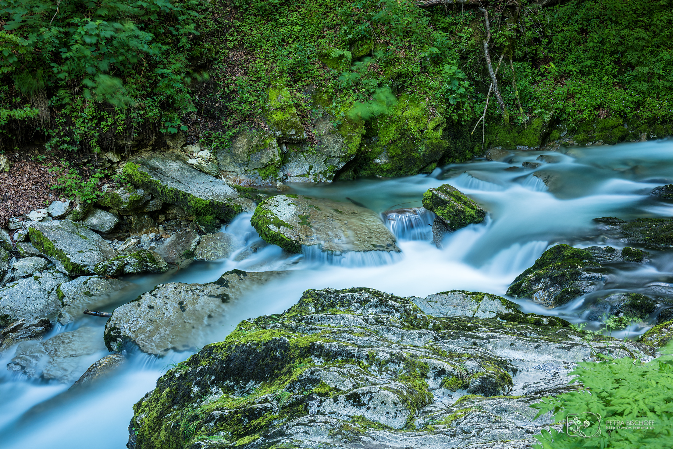 &copy; Petra Bischoff