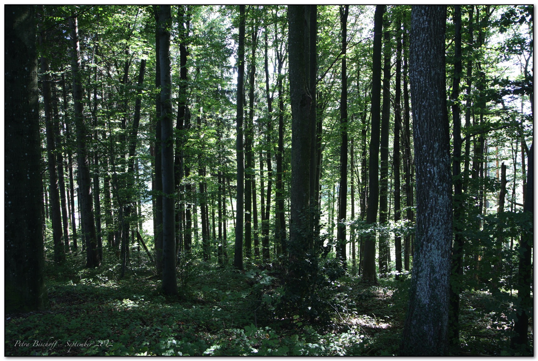 &copy; Petra Bischoff