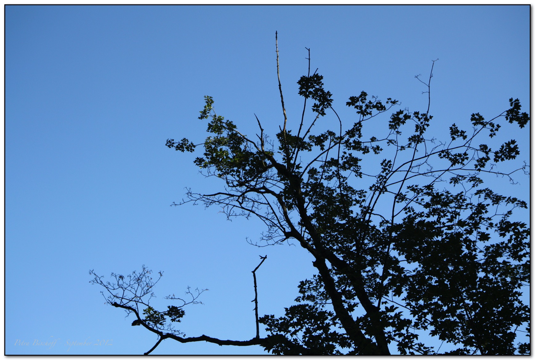 &copy; Petra Bischoff