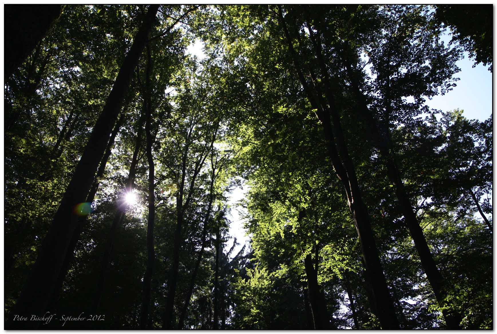 &copy; Petra Bischoff