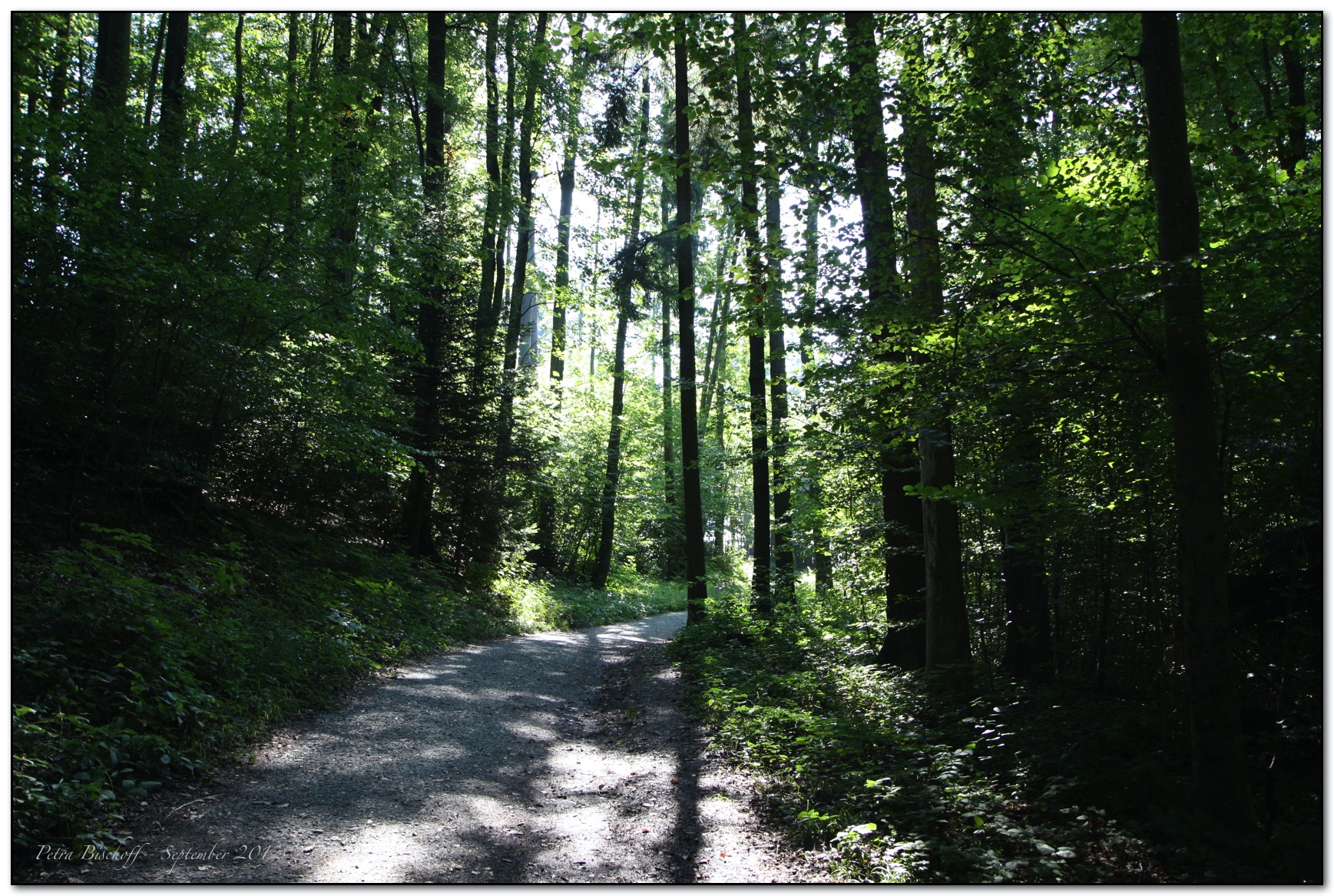 &copy; Petra Bischoff