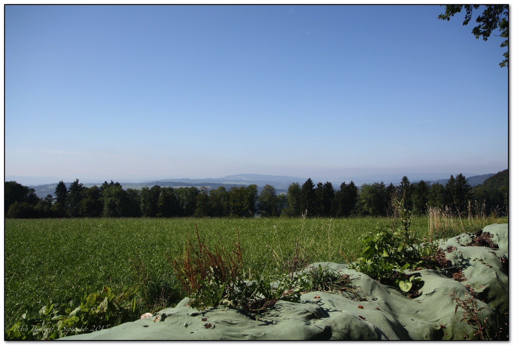 &copy; Petra Bischoff