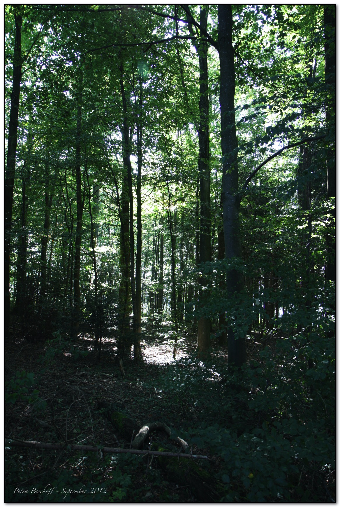 &copy; Petra Bischoff