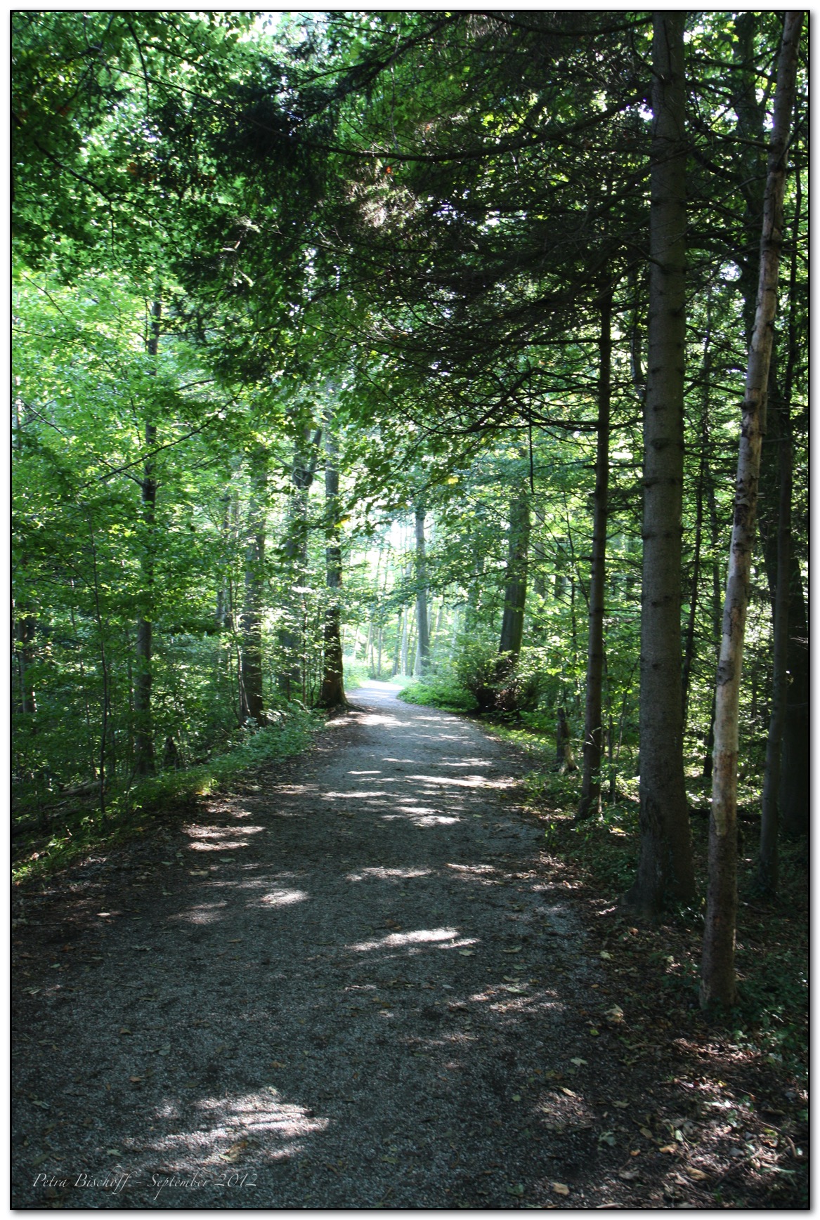 &copy; Petra Bischoff