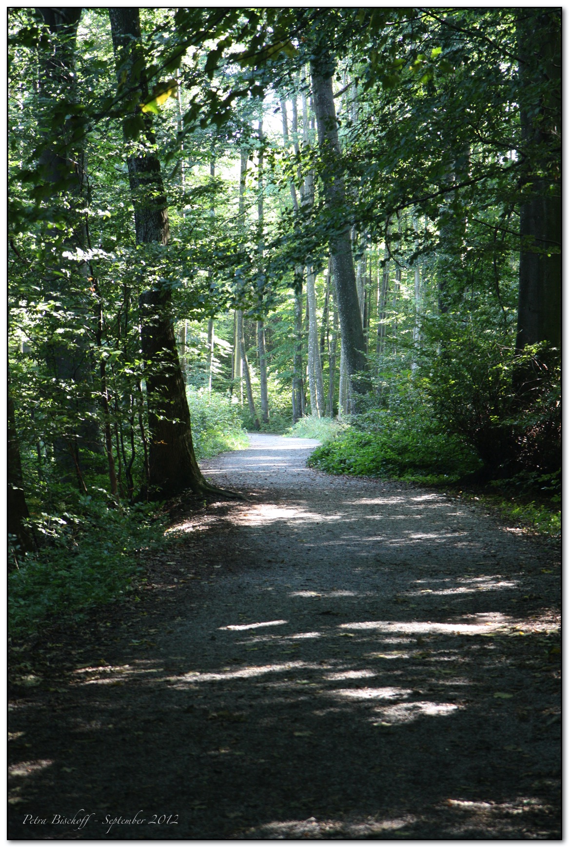 &copy; Petra Bischoff