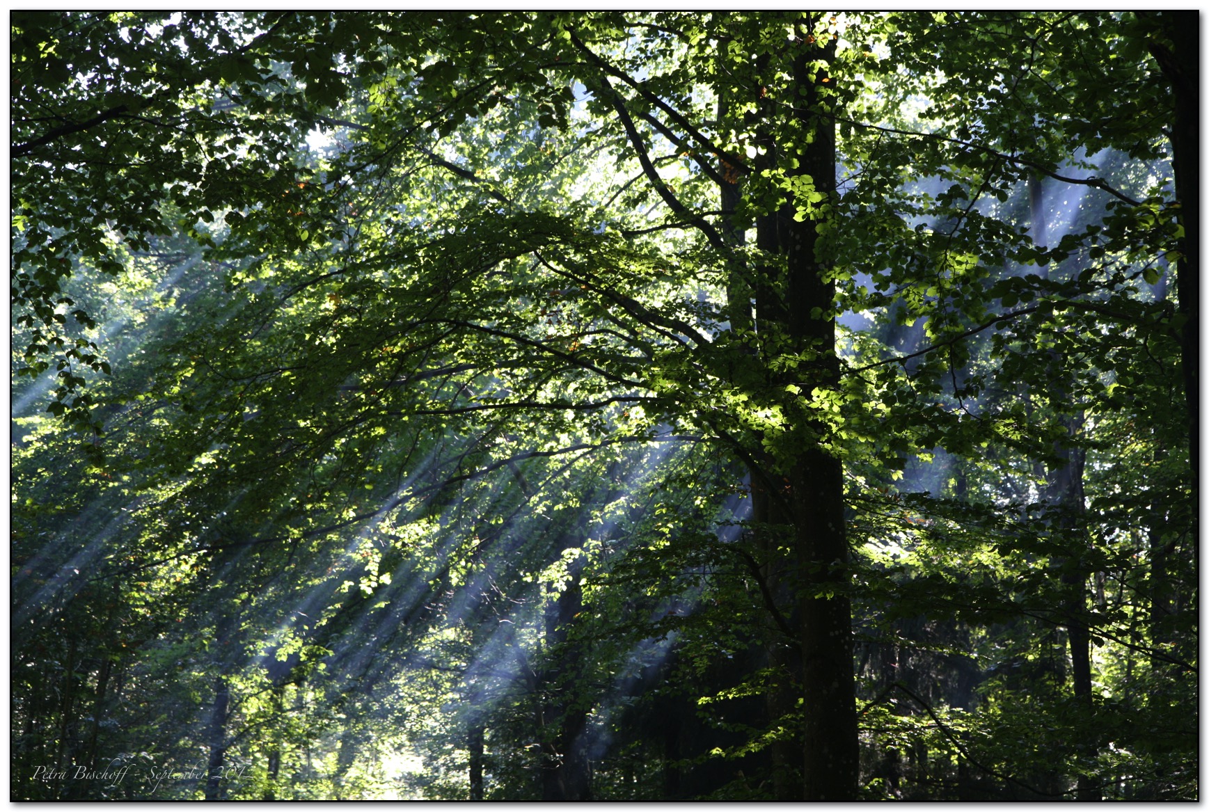 &copy; Petra Bischoff