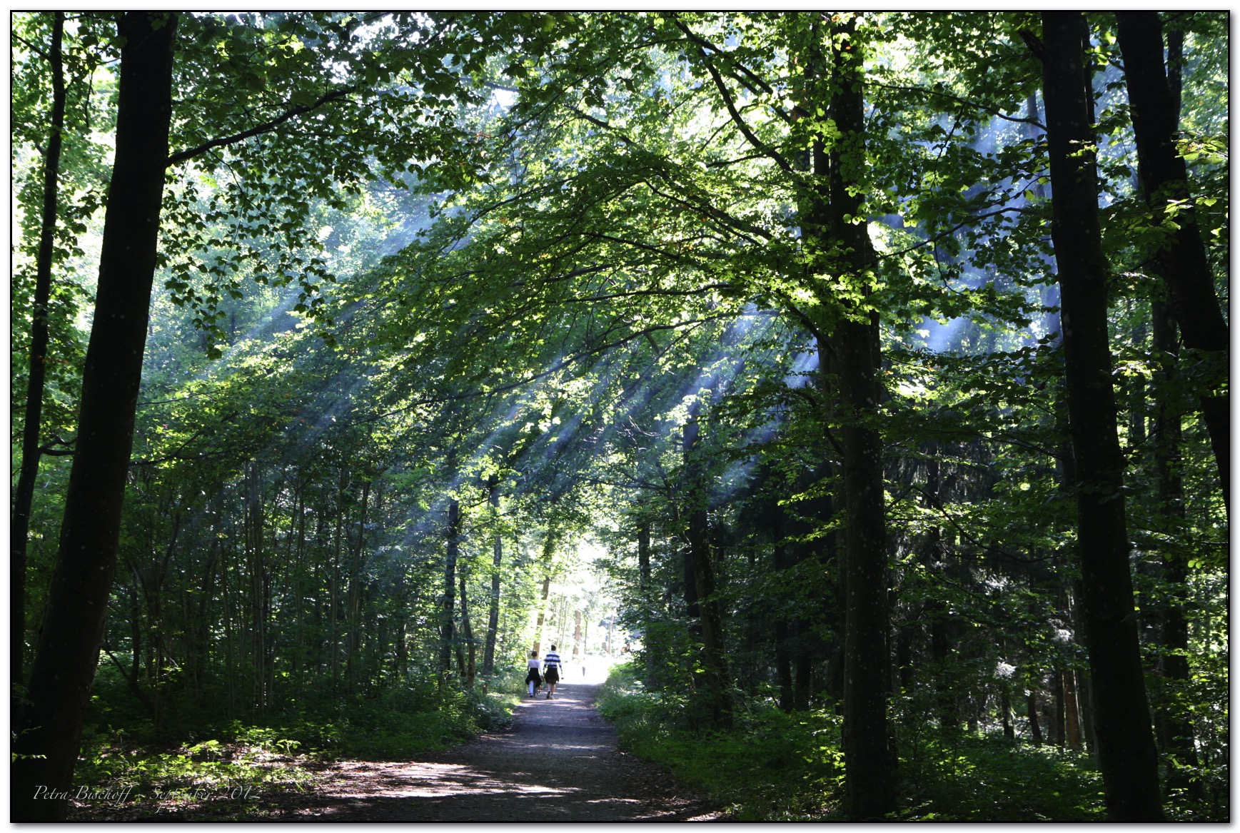 &copy; Petra Bischoff