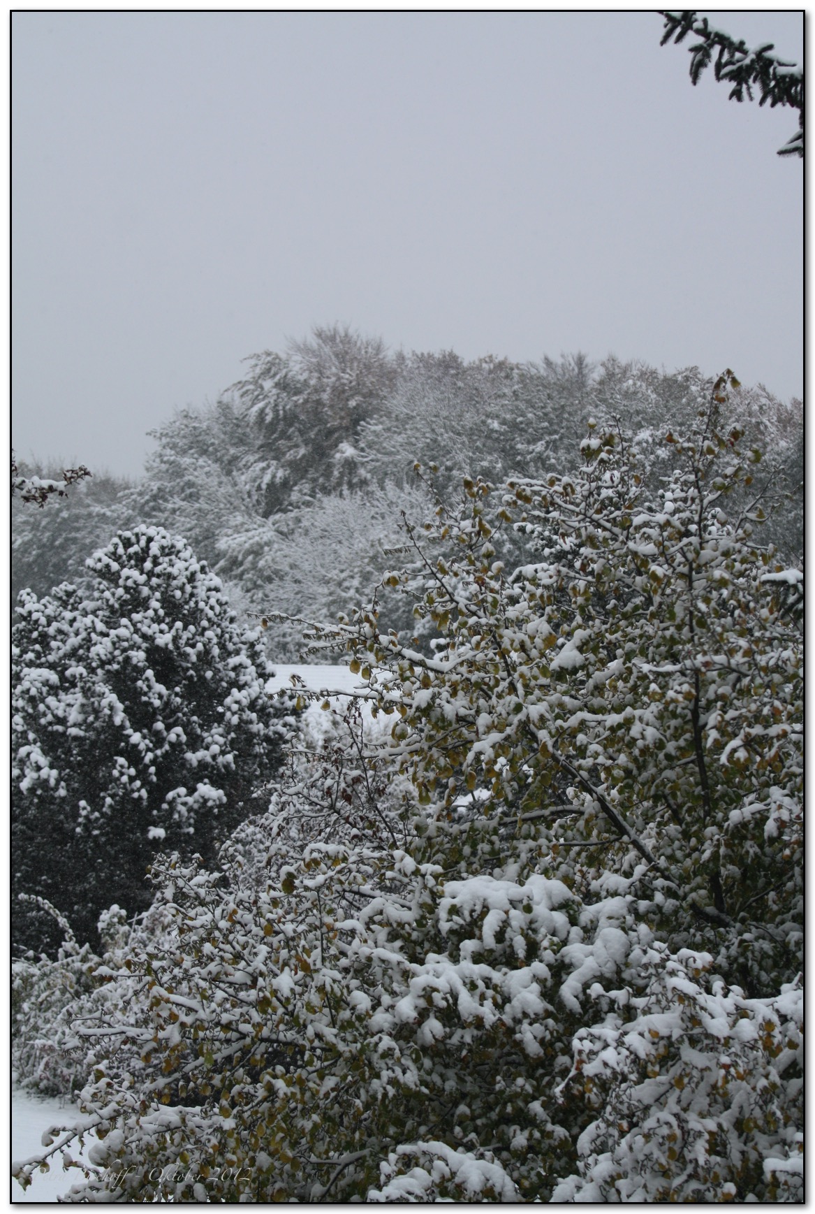 &copy; Petra Bischoff