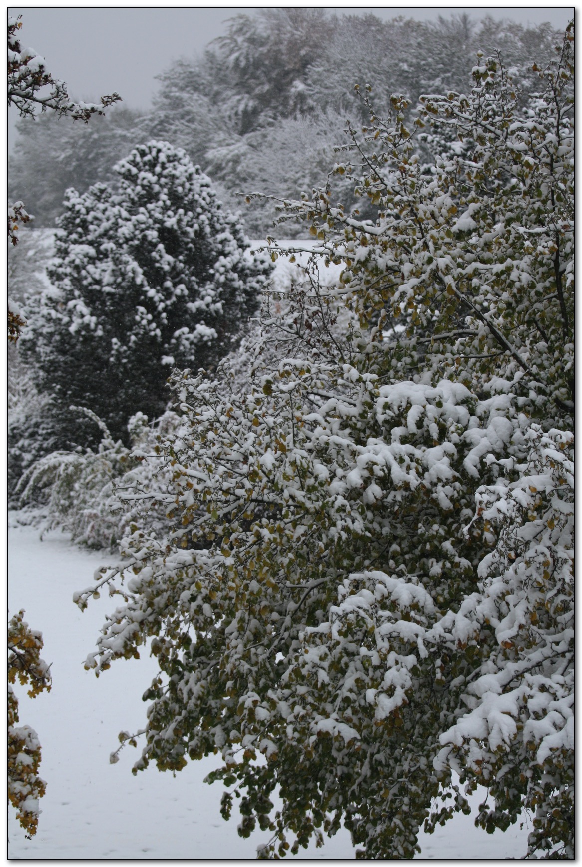 &copy; Petra Bischoff