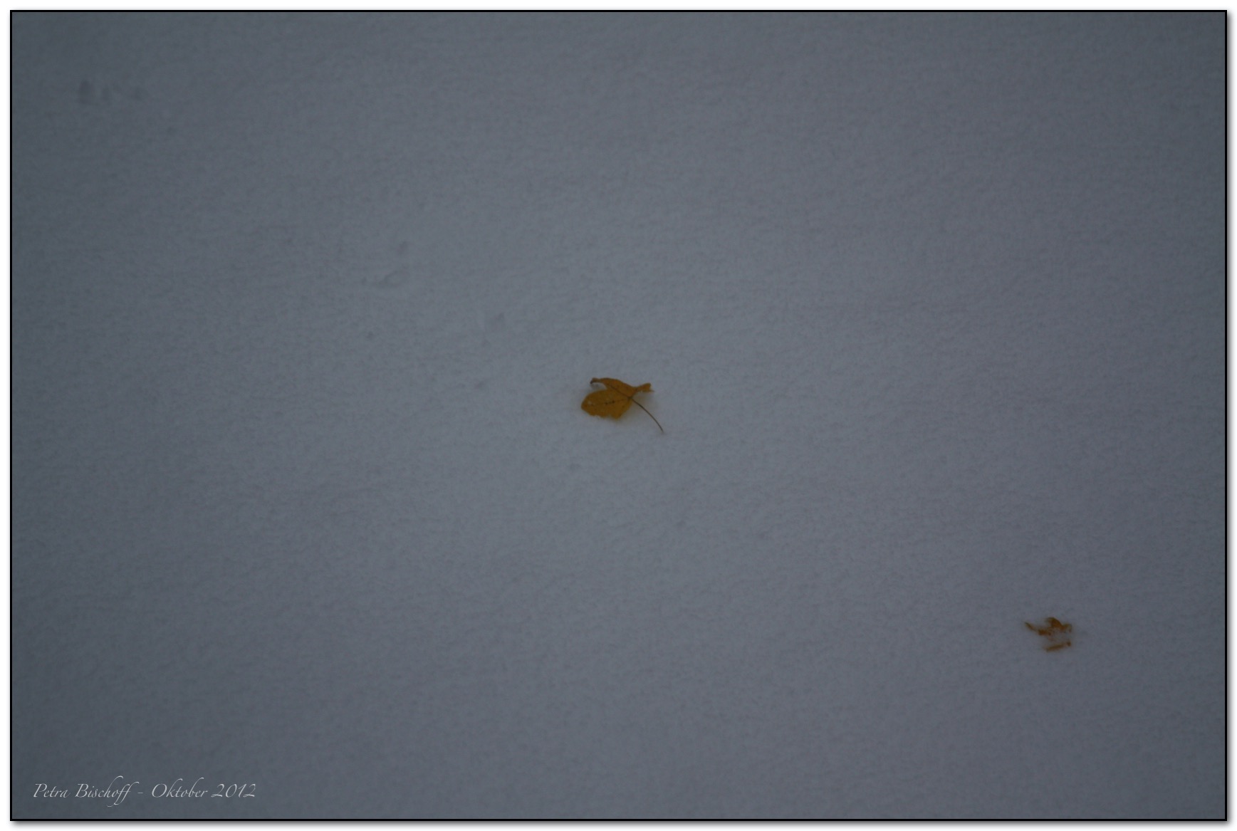 &copy; Petra Bischoff