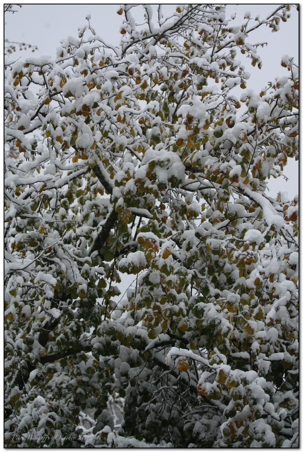 &copy; Petra Bischoff