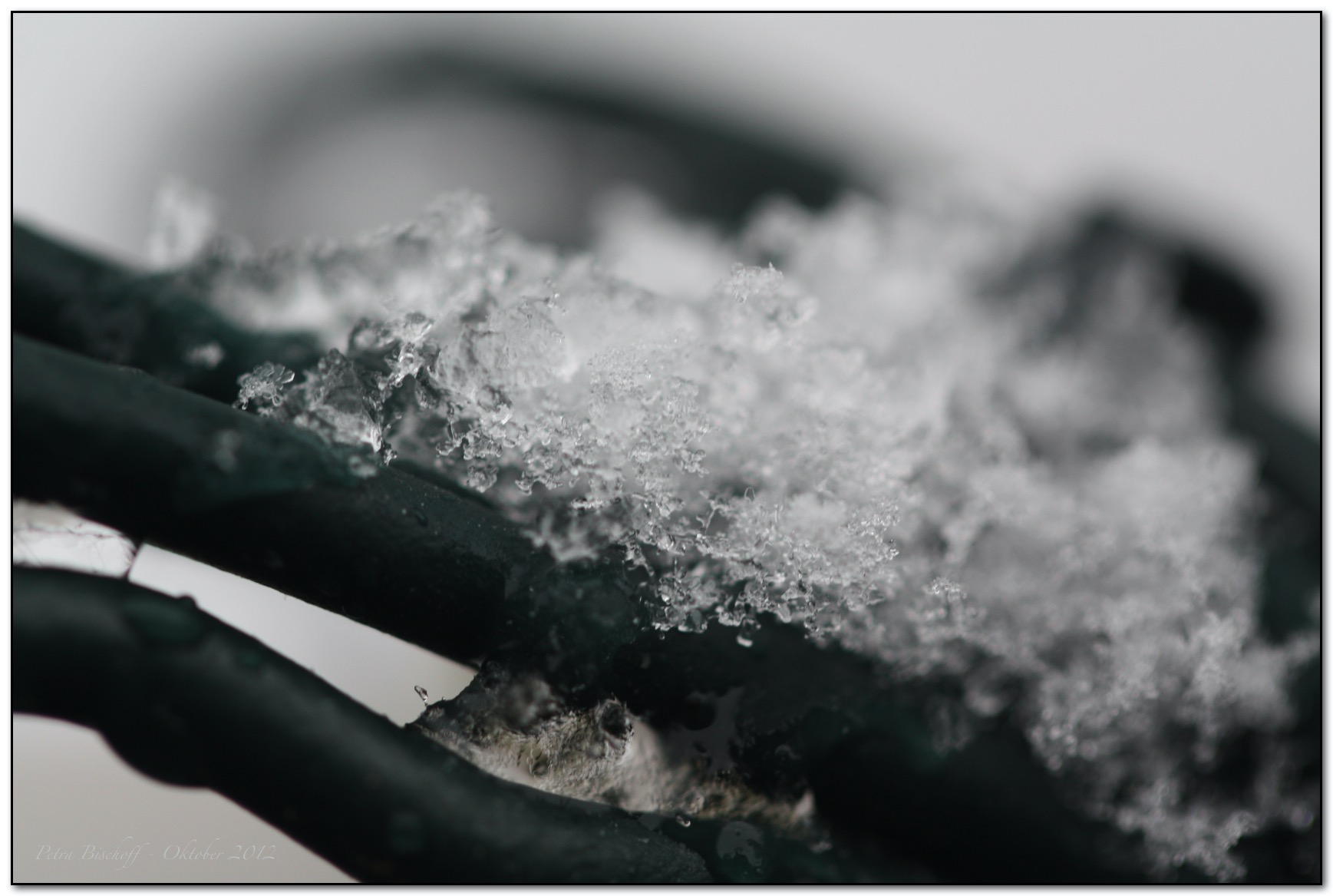 &copy; Petra Bischoff