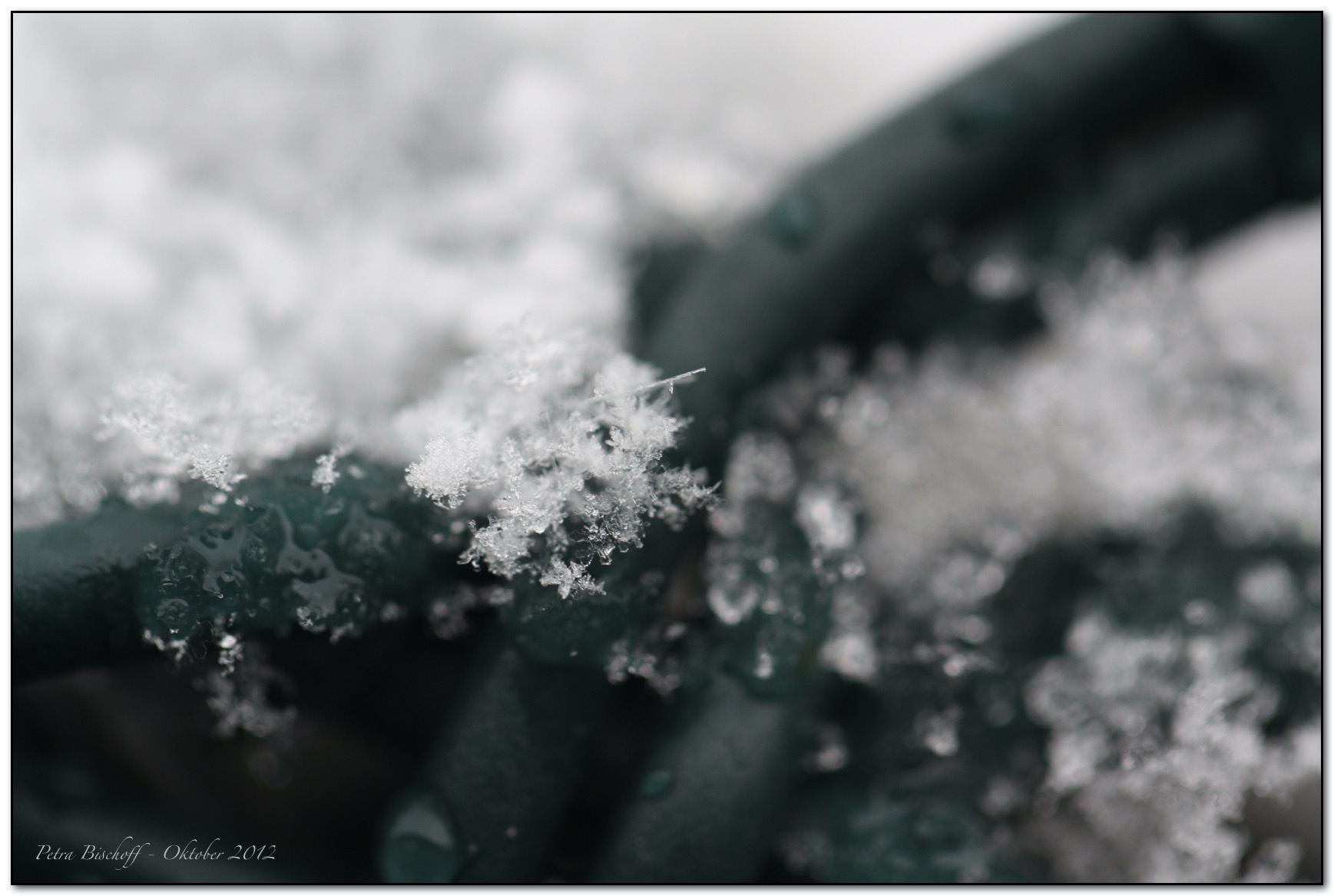 &copy; Petra Bischoff