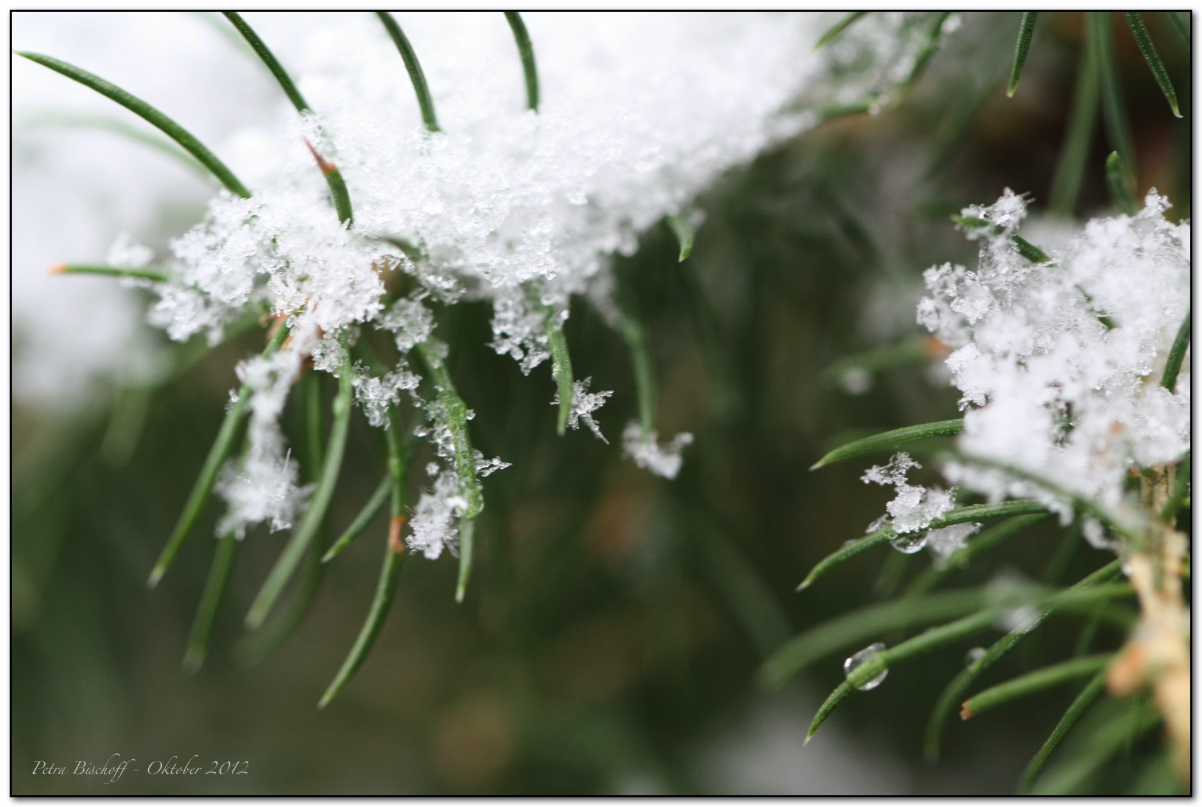 &copy; Petra Bischoff