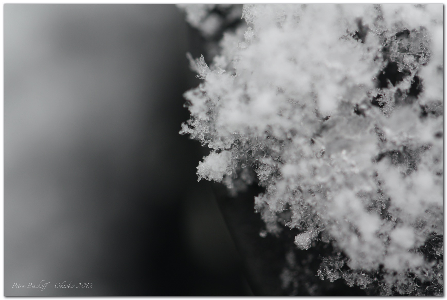 &copy; Petra Bischoff