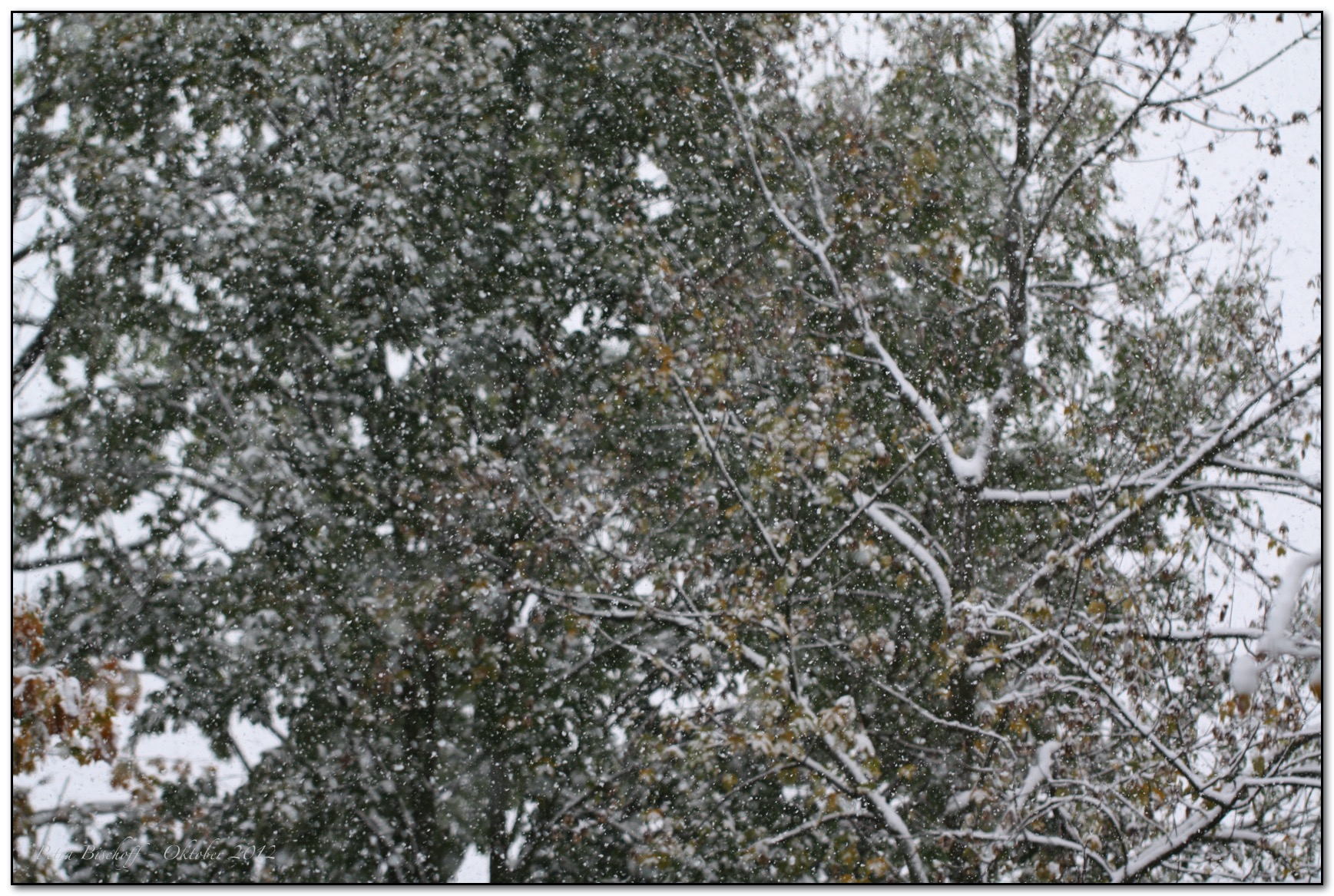 &copy; Petra Bischoff