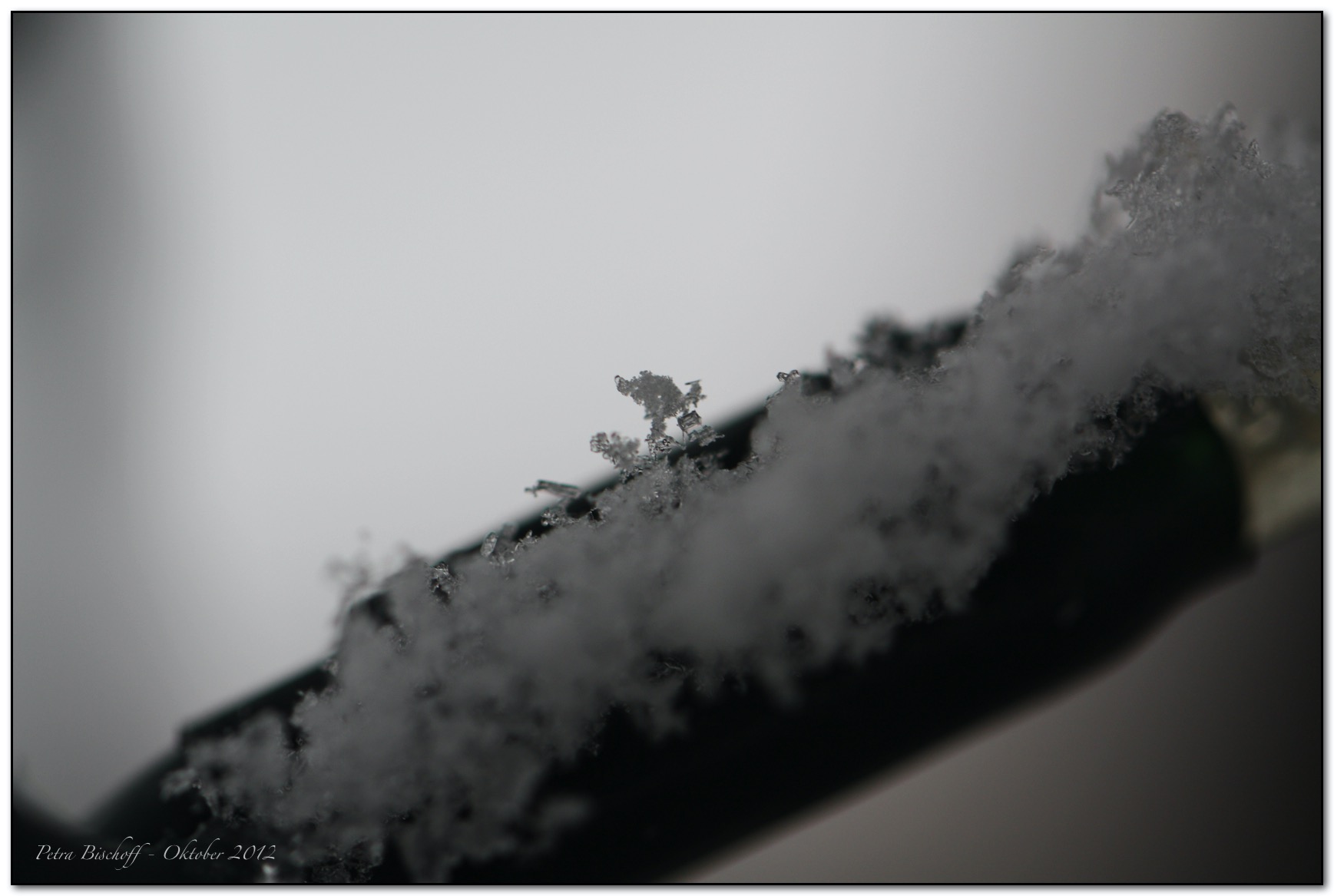 &copy; Petra Bischoff