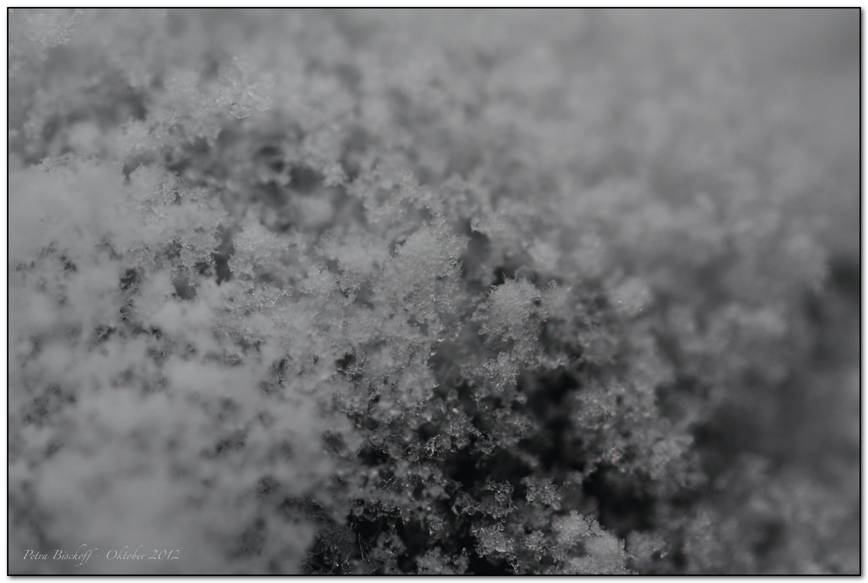 &copy; Petra Bischoff