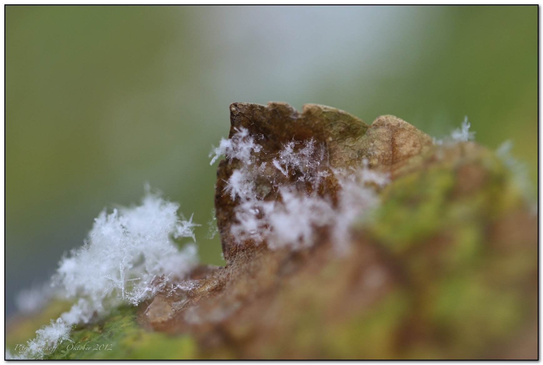 &copy; Petra Bischoff