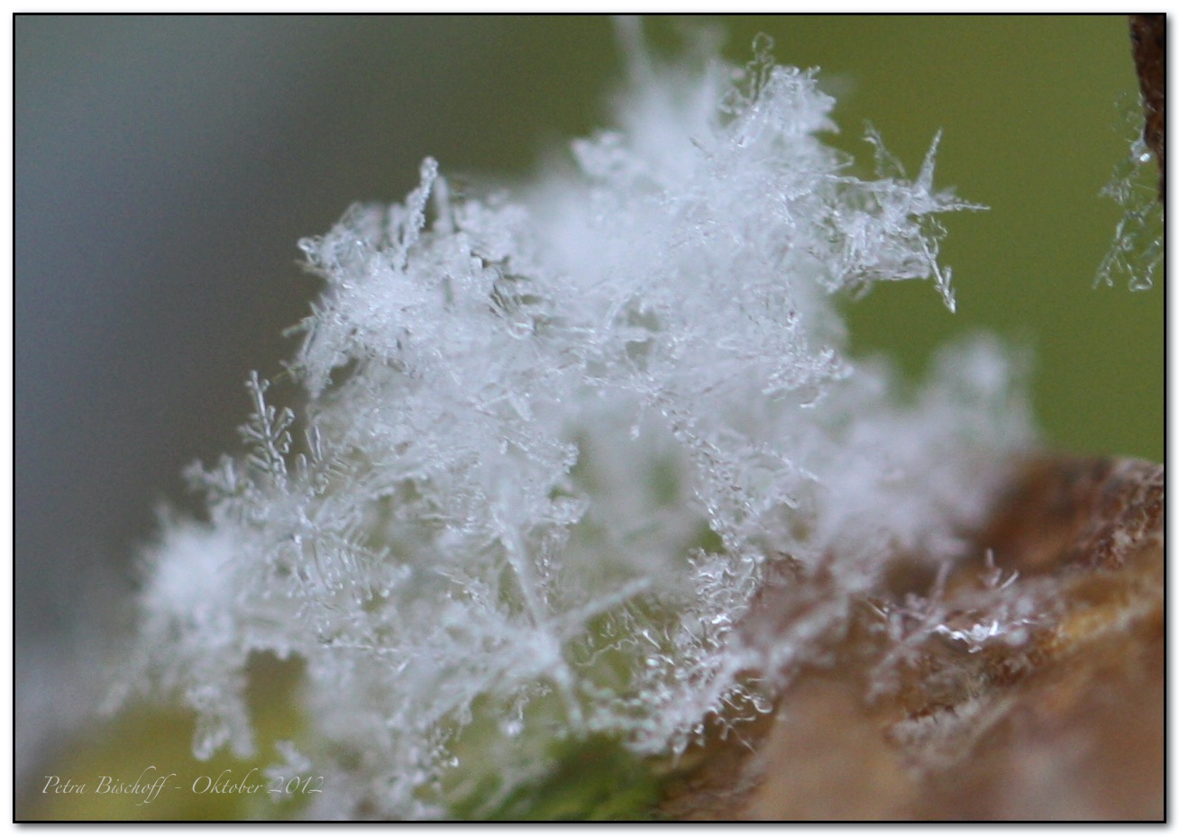 &copy; Petra Bischoff